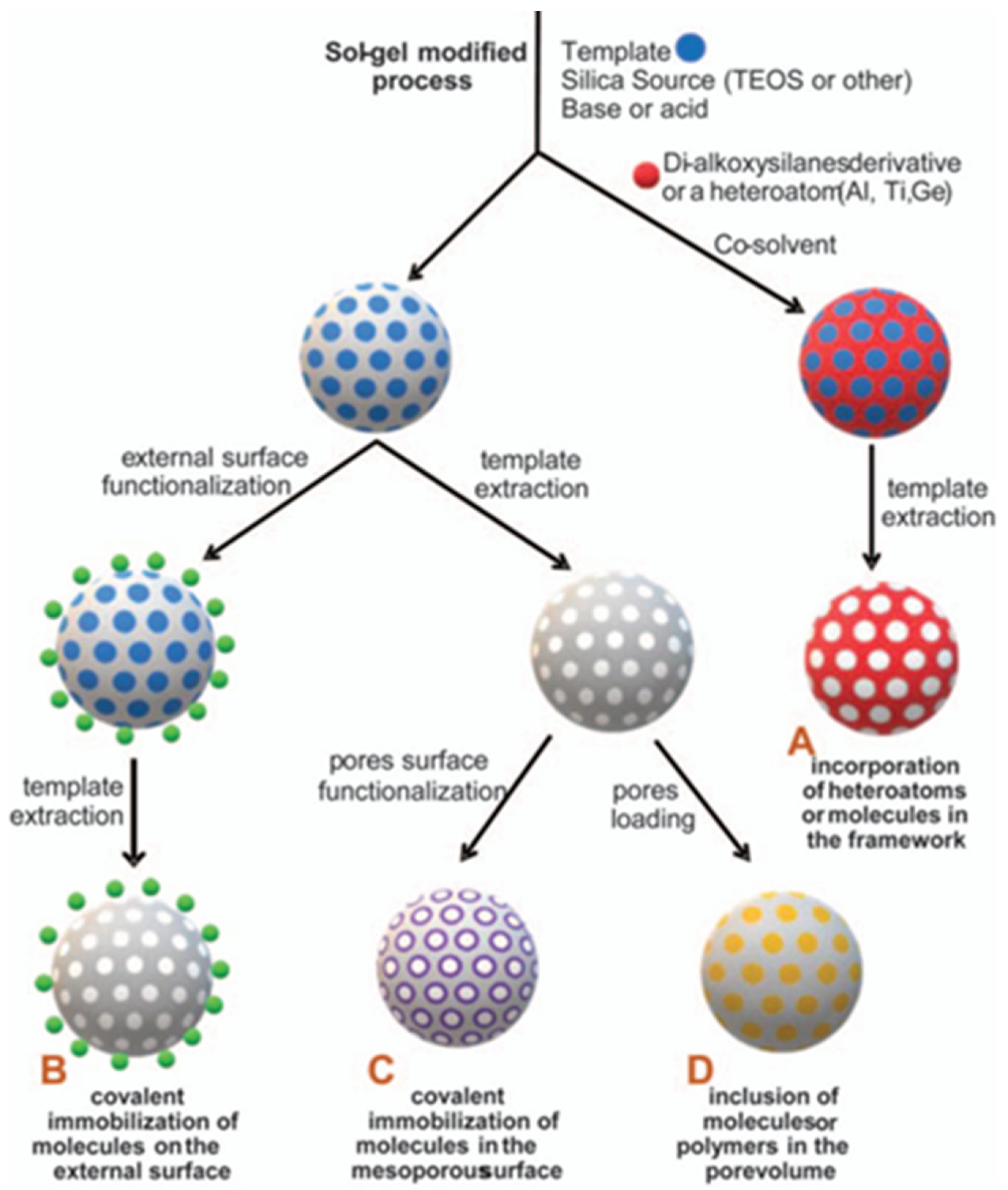 Polymers 15 03935 g009