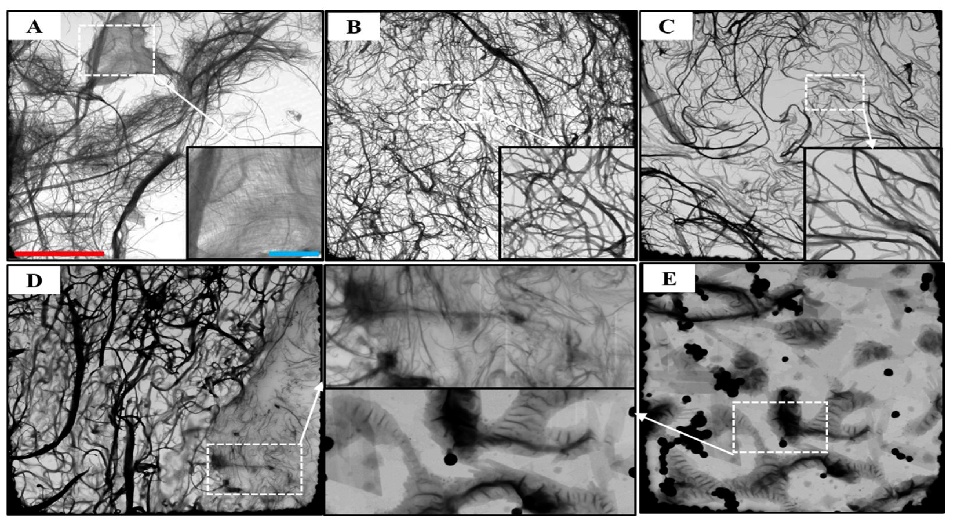 Polymers 15 03937 g005