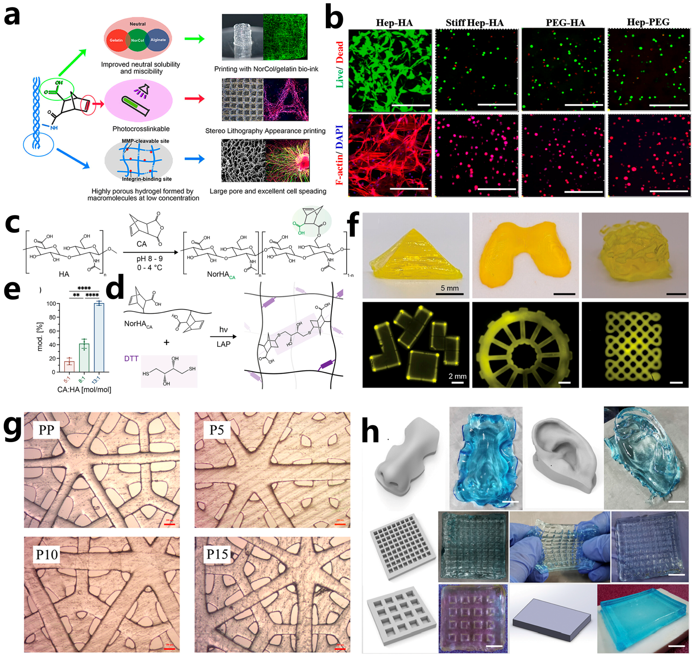 Polymers 15 03940 g008