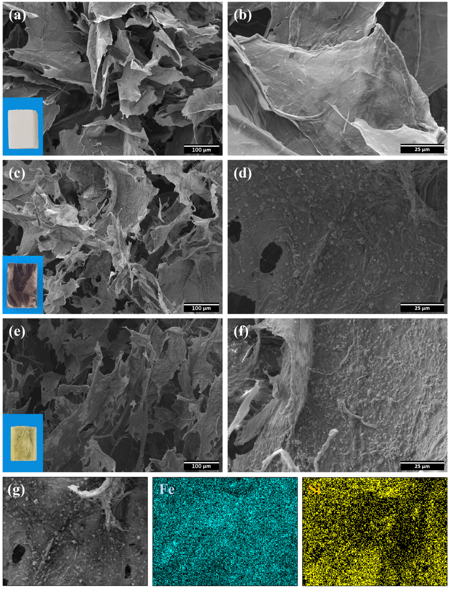 Polymers 15 03941 g002 Polymers 15 03941 g002