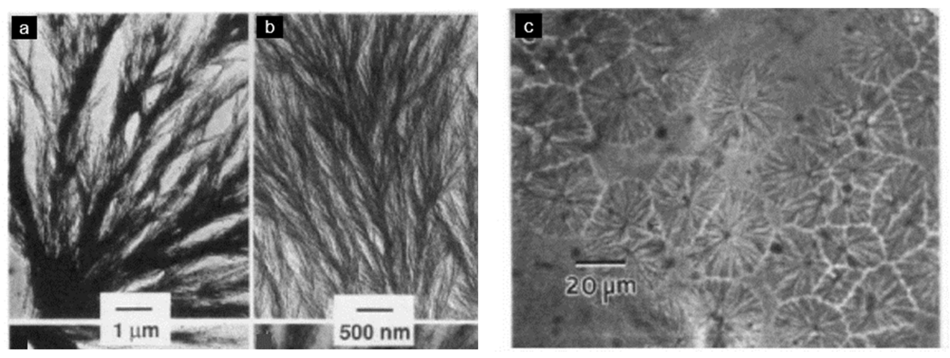 Polymers 15 03943 g016