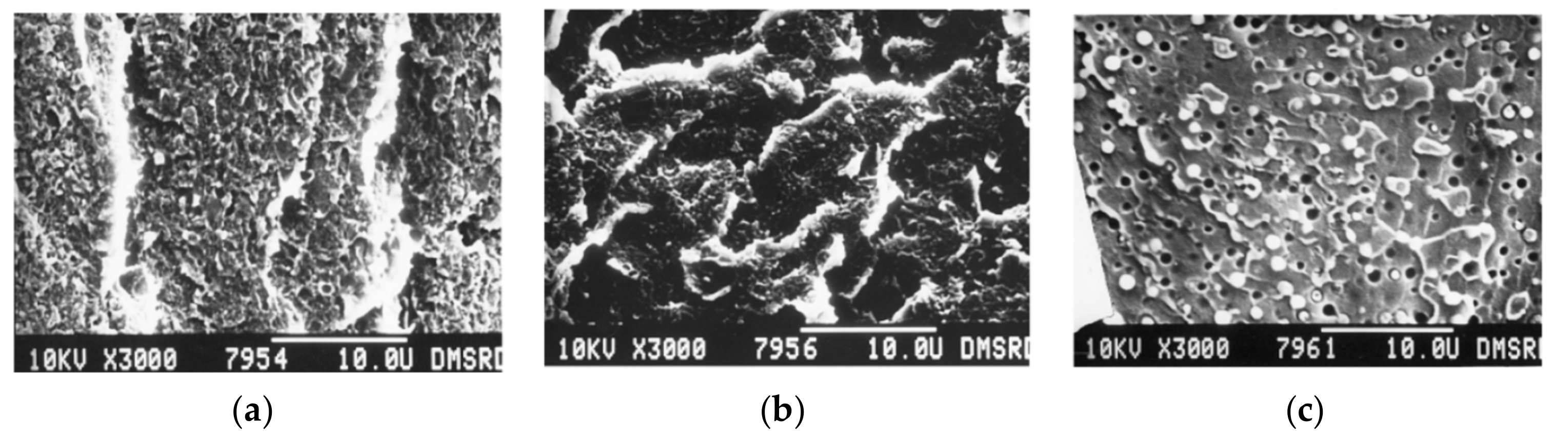 Polymers 15 03943 g017