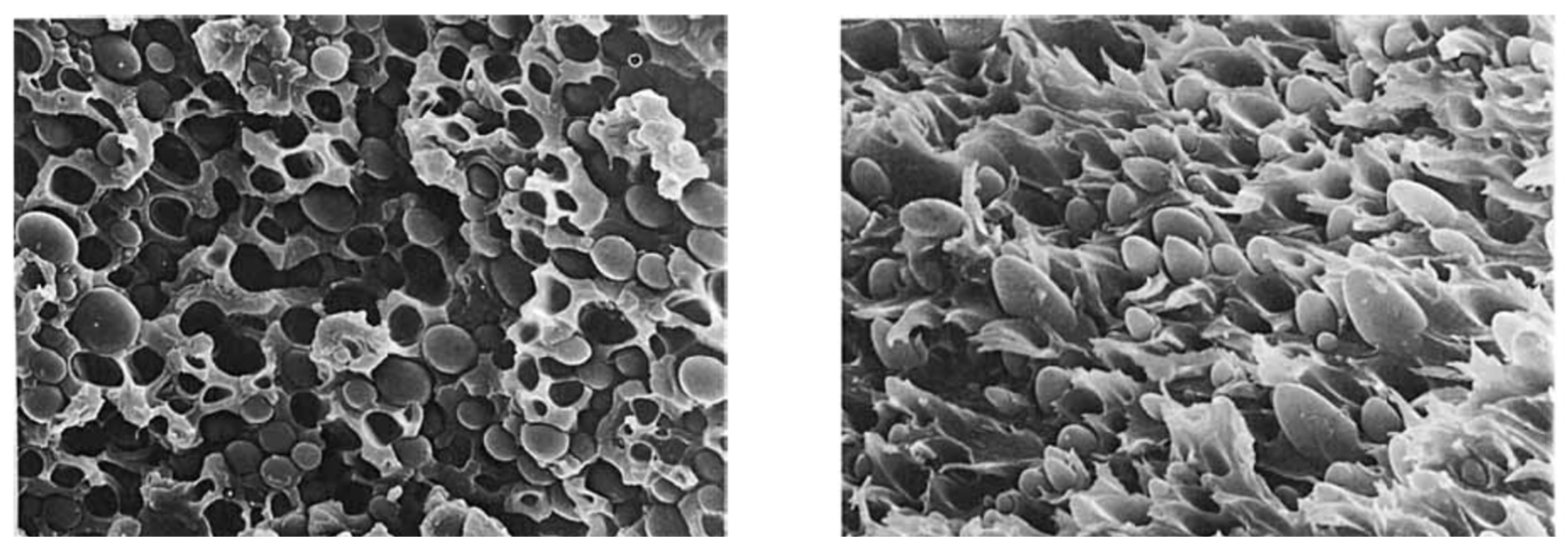 Polymers 15 03943 g018