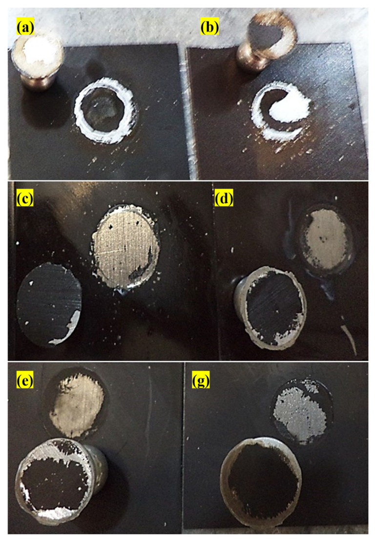 Polymers 15 03948 g006