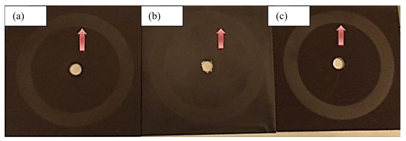 Polymers 15 03948 g008