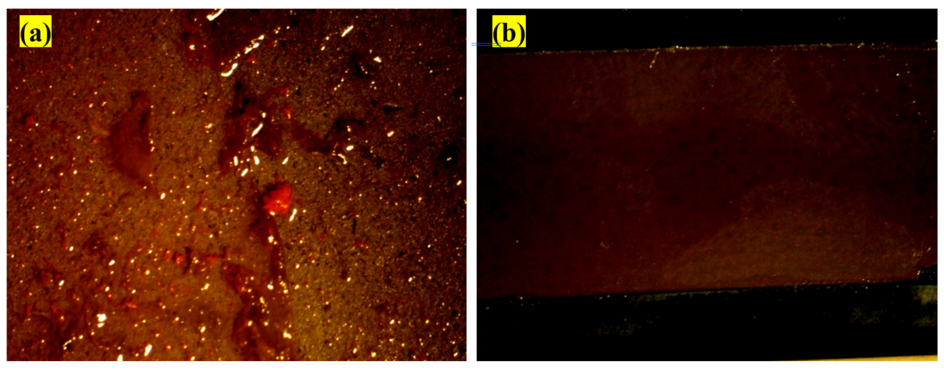 Polymers 15 03948 g013