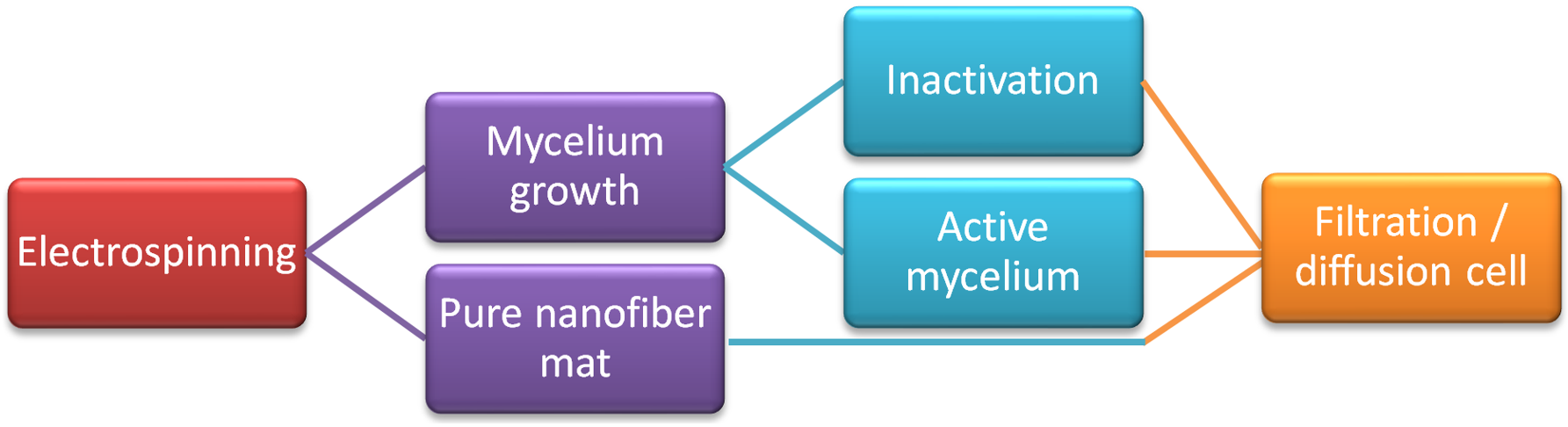 Polymers 15 03951 g002