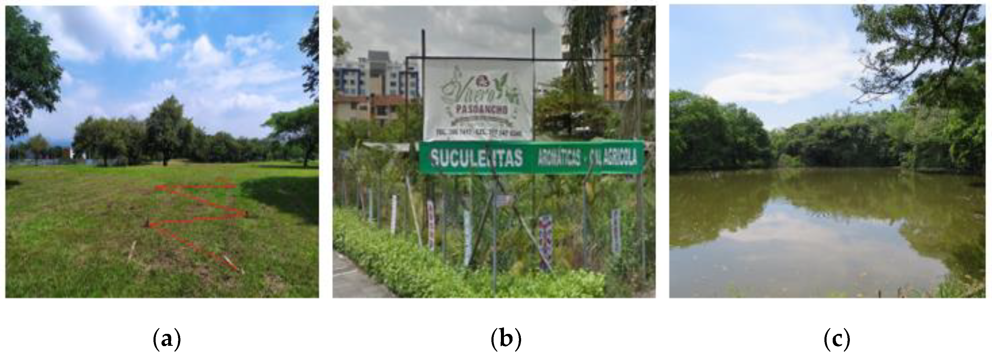 Polymers 15 03952 g001