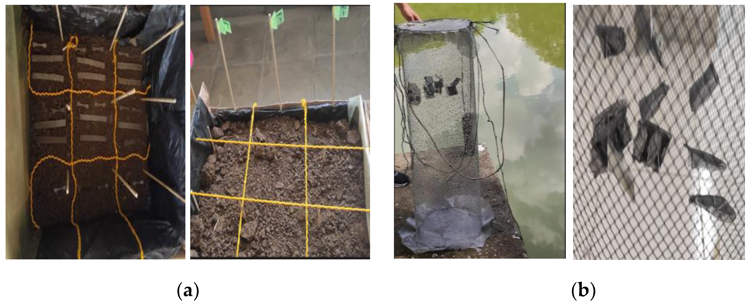 Polymers 15 03952 g002