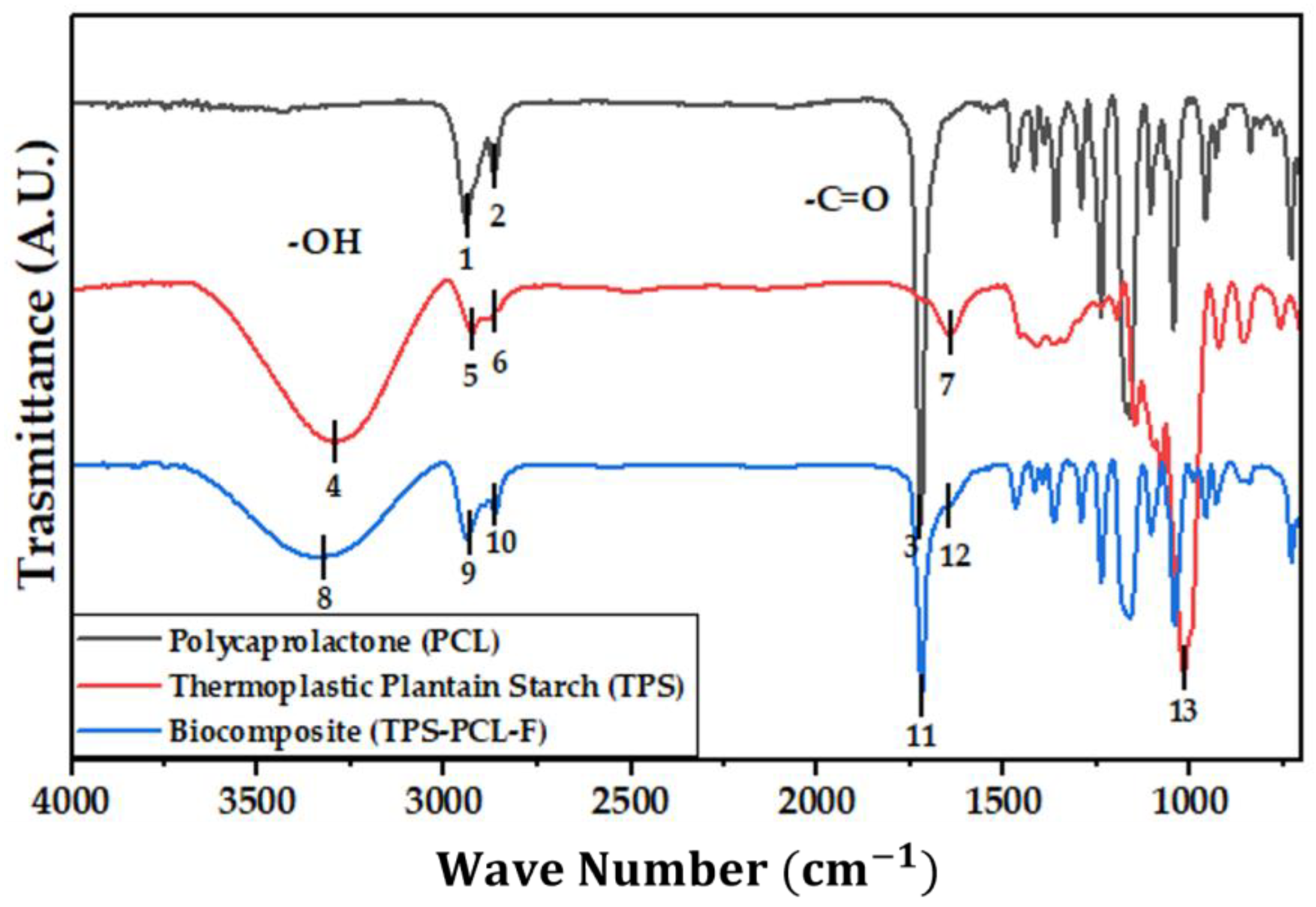 Polymers 15 03952 g004