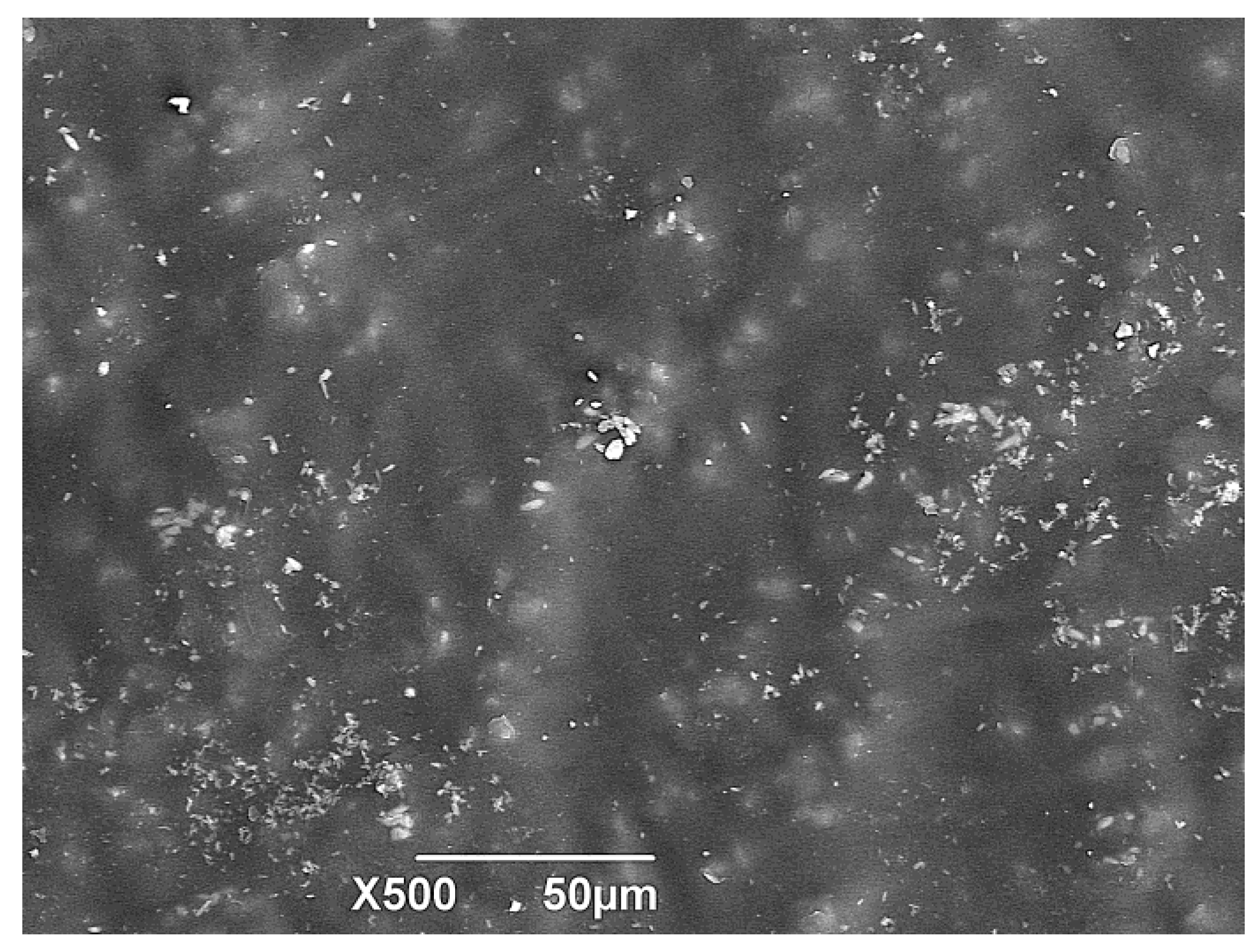Polymers 15 03952 g008