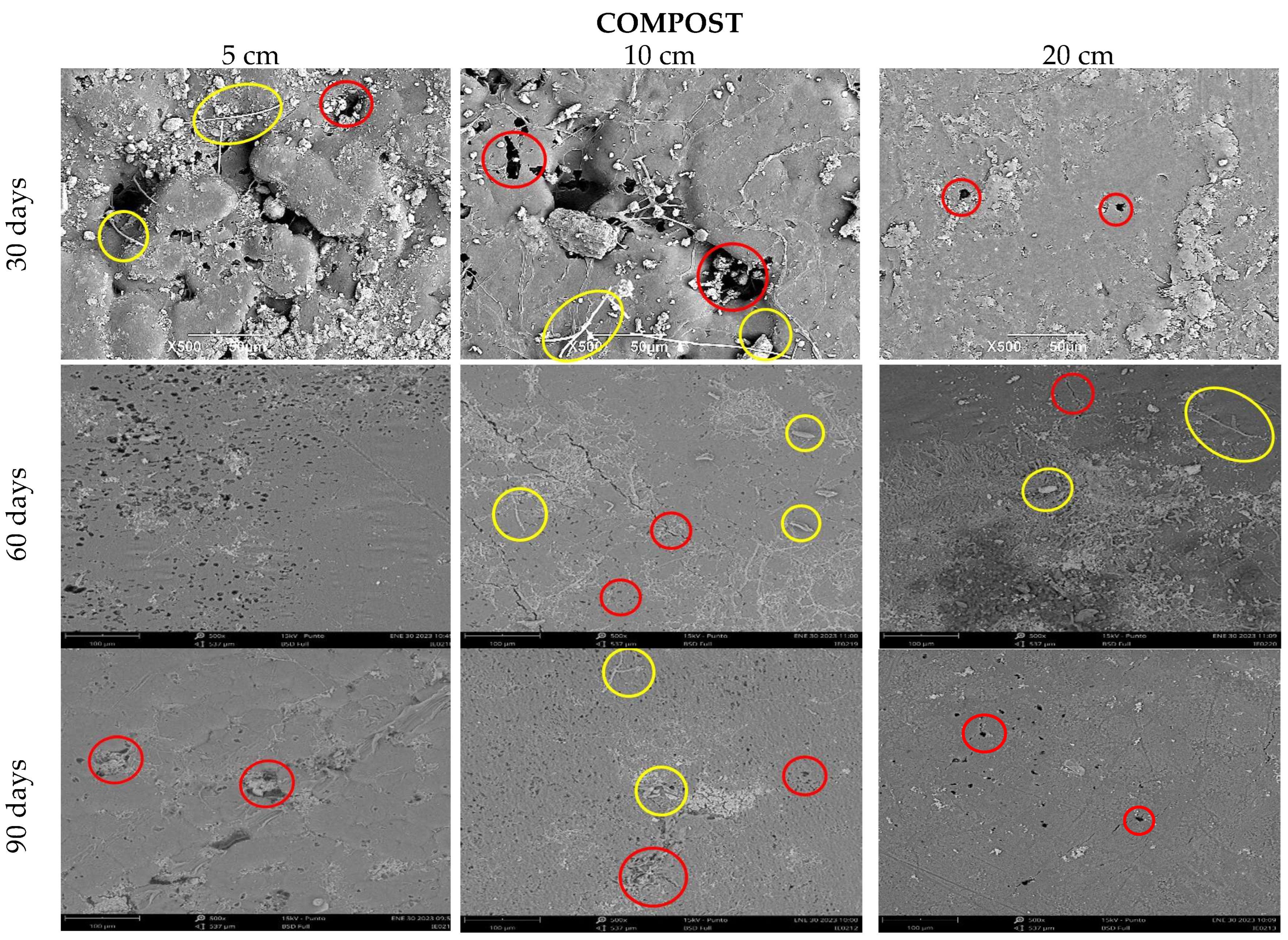 Polymers 15 03952 g011