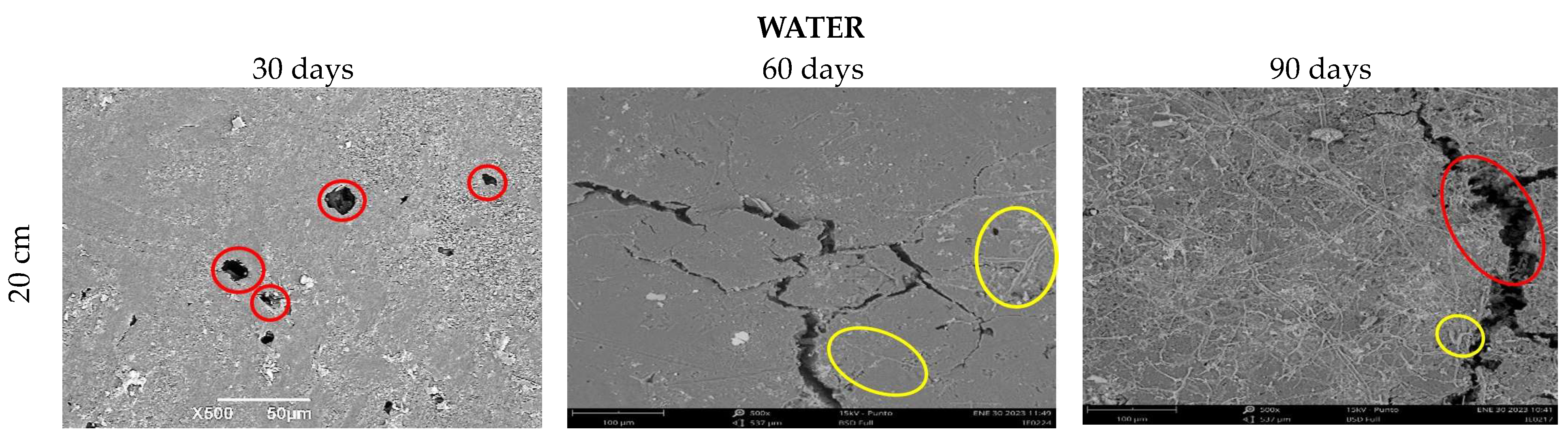 Polymers 15 03952 g012