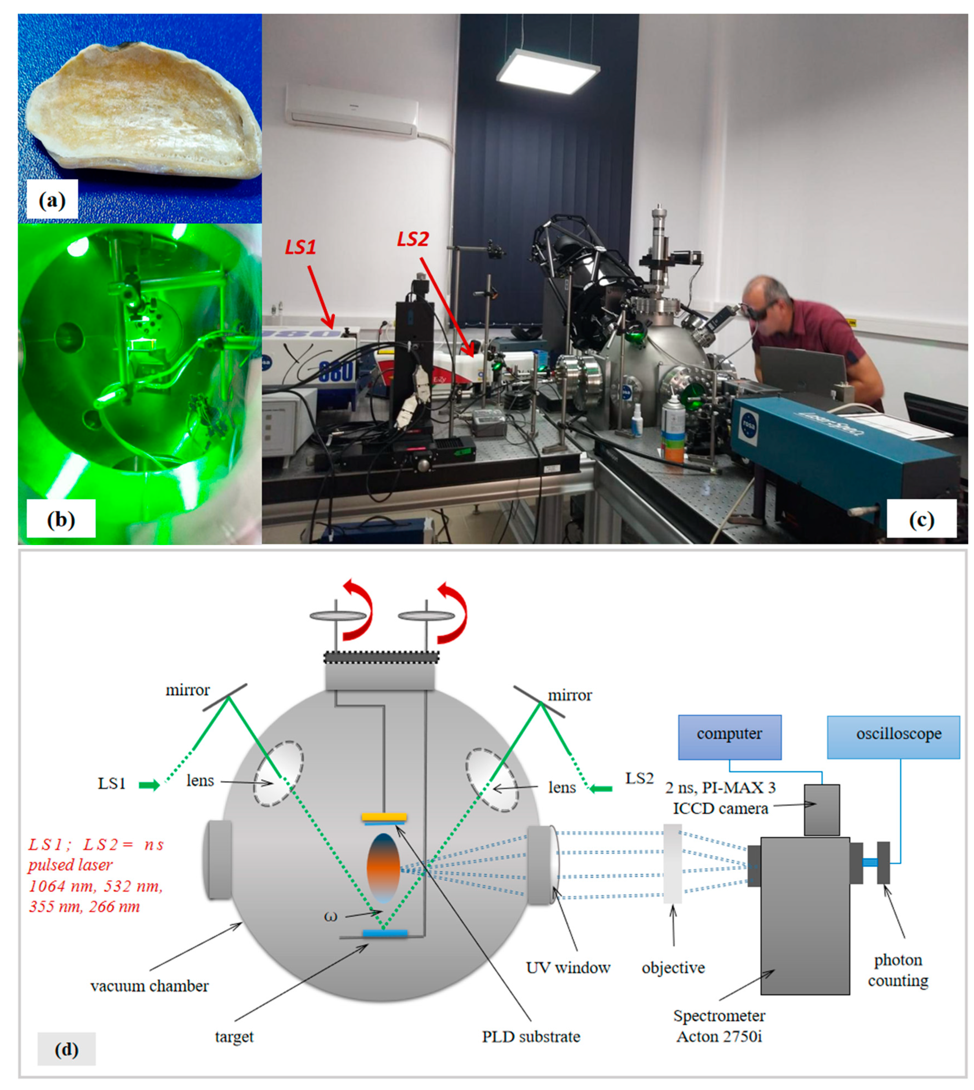 Polymers 15 03953 g001