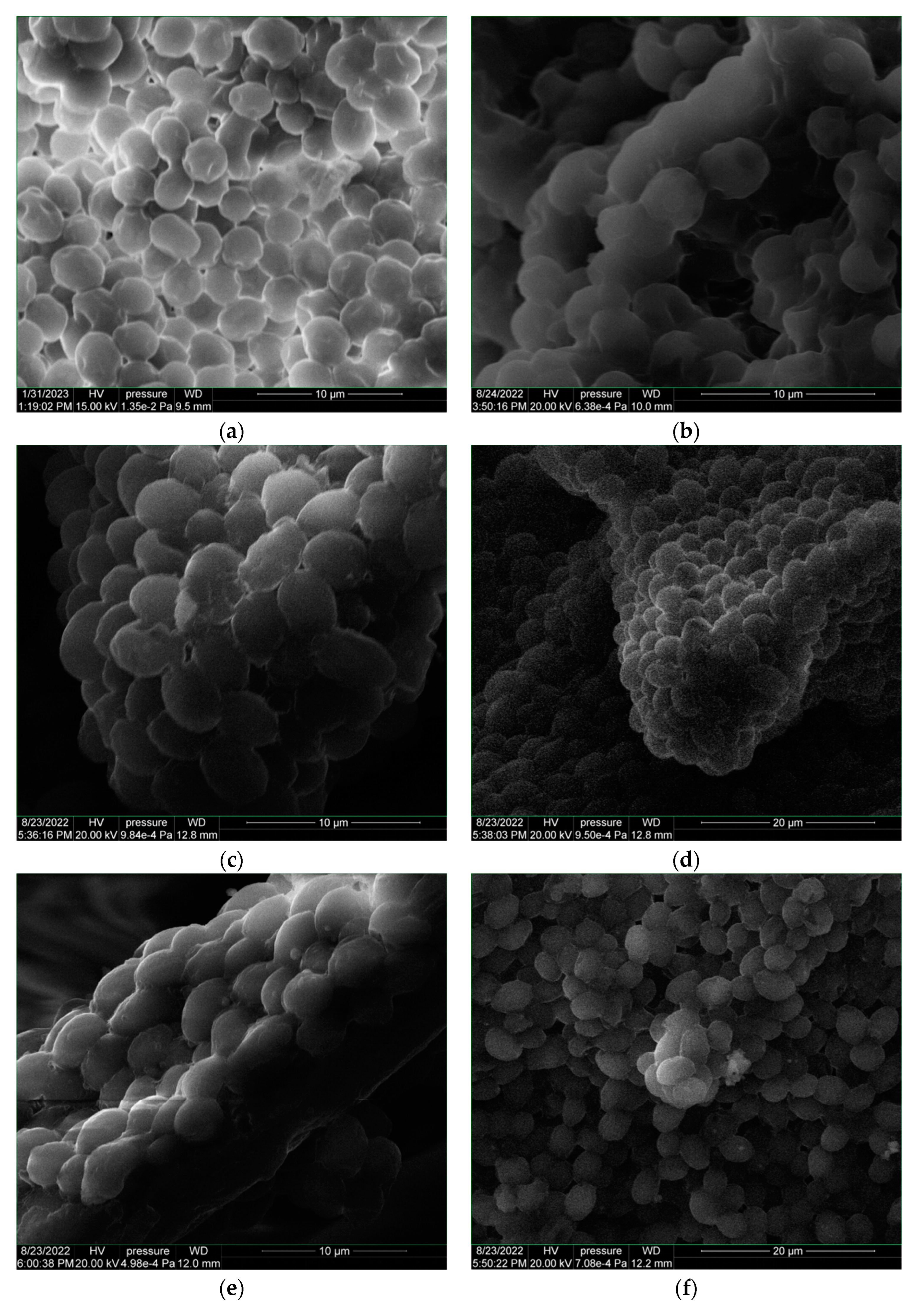 Polymers 15 03953 g006