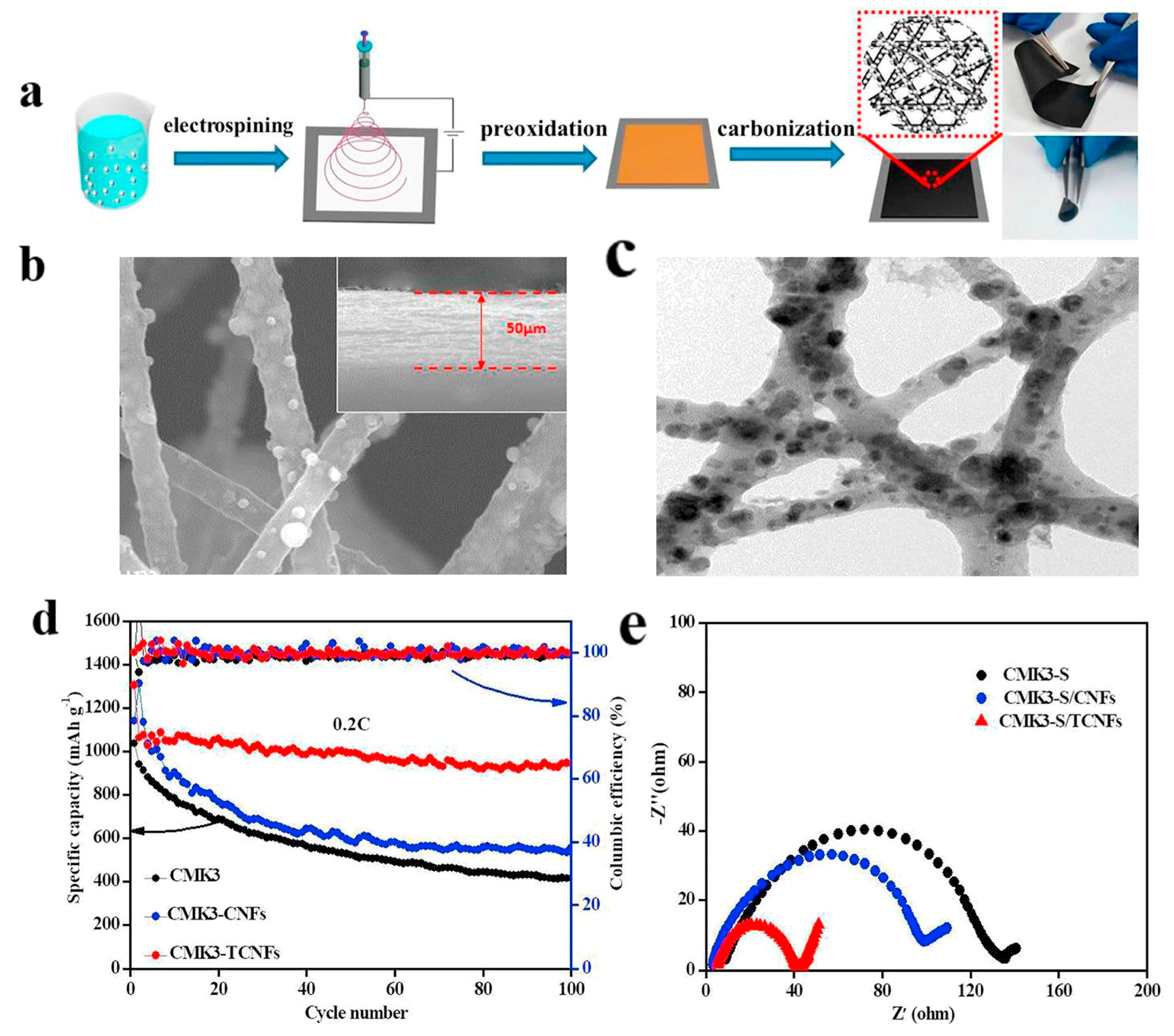 Polymers 15 03955 g007