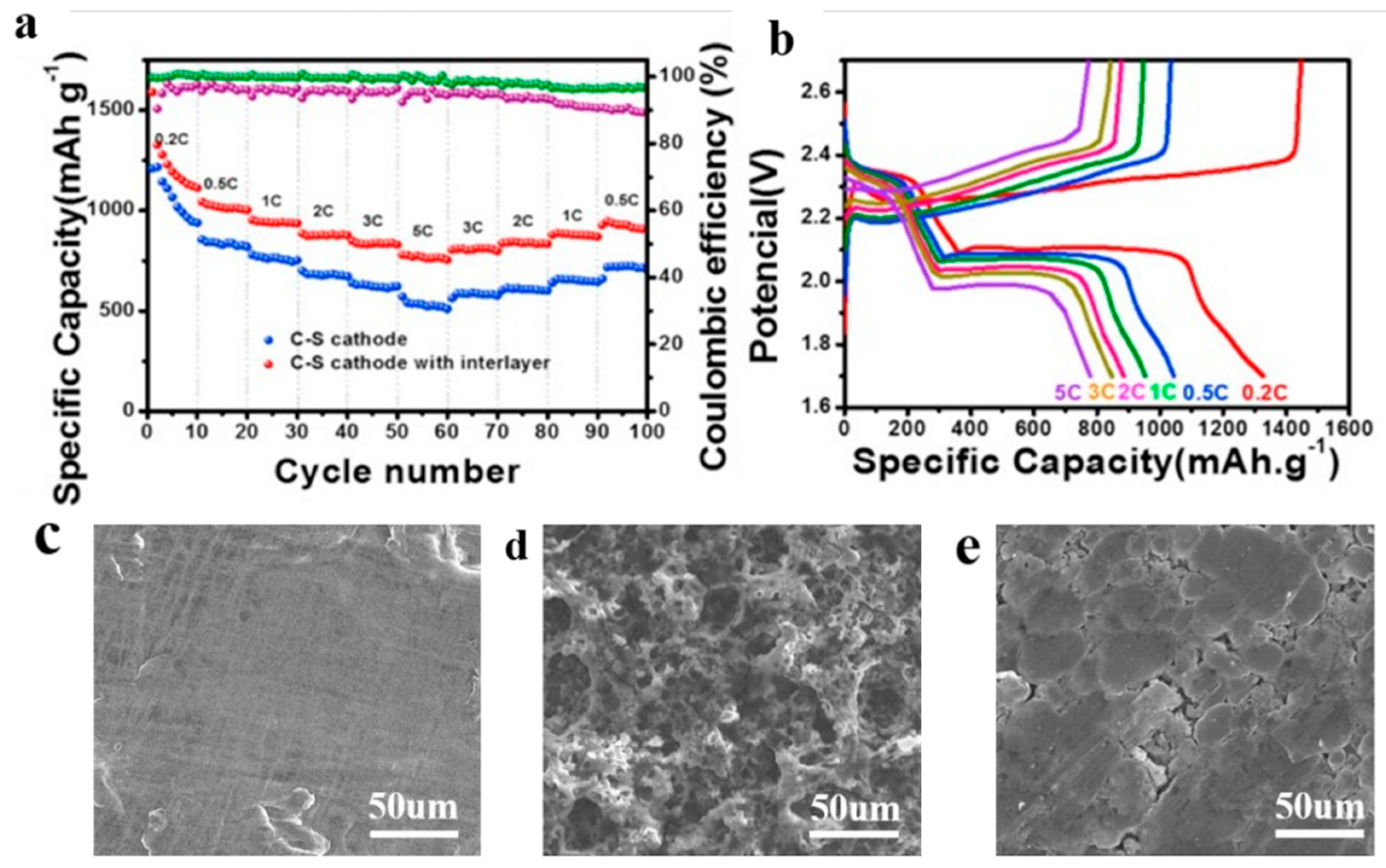 Polymers 15 03955 g011