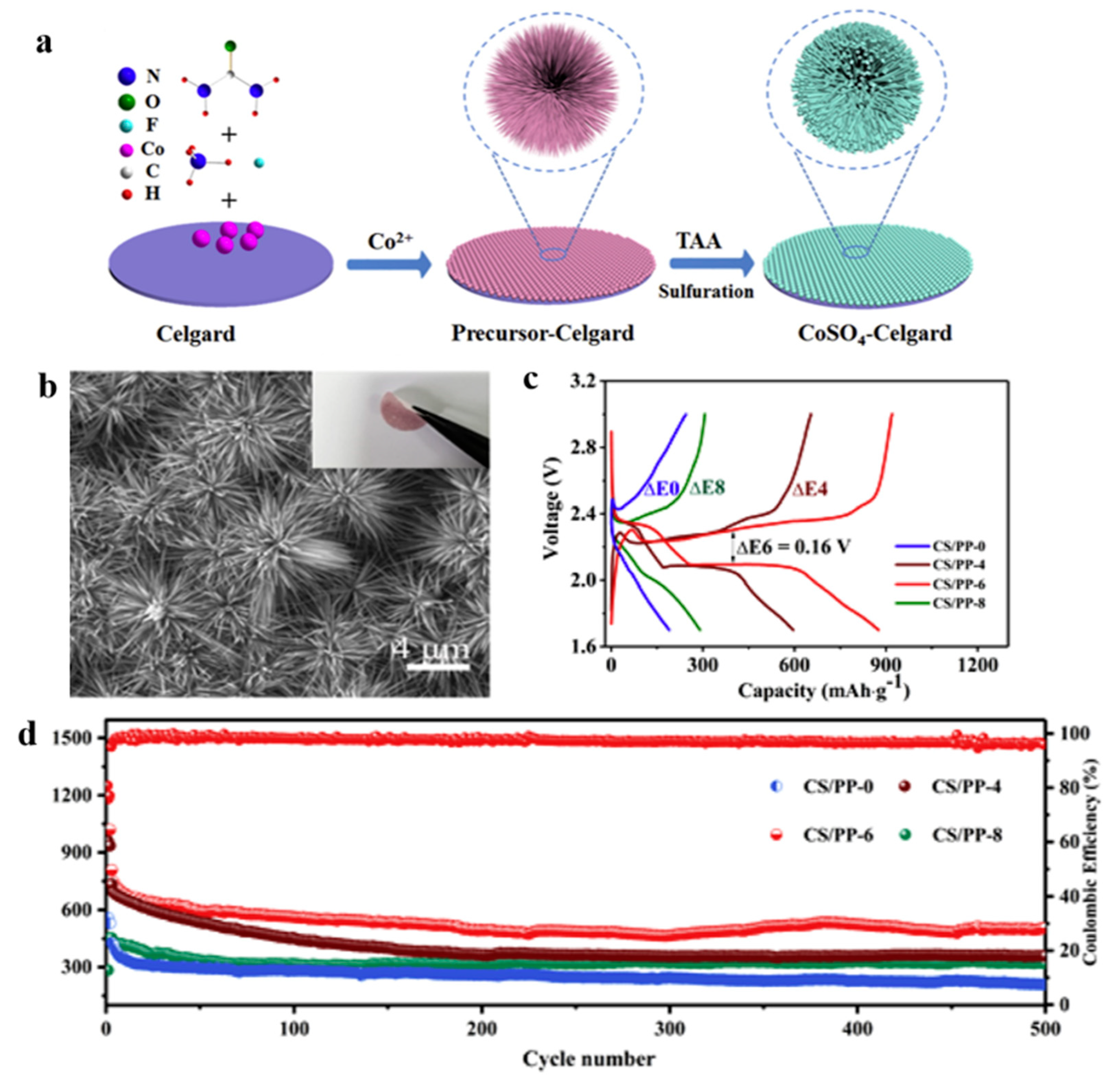 Polymers 15 03955 g012
