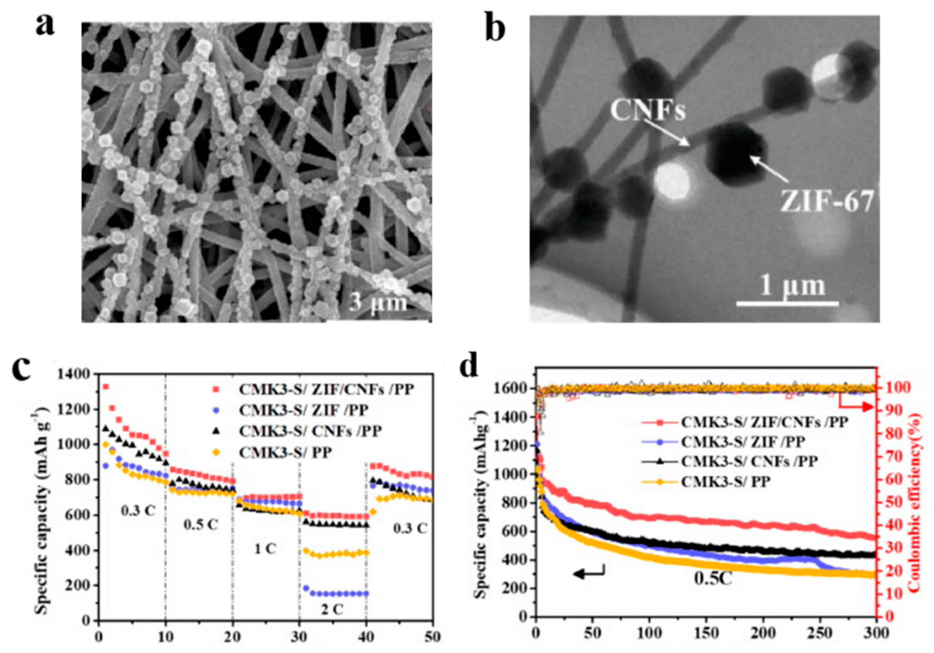Polymers 15 03955 g013
