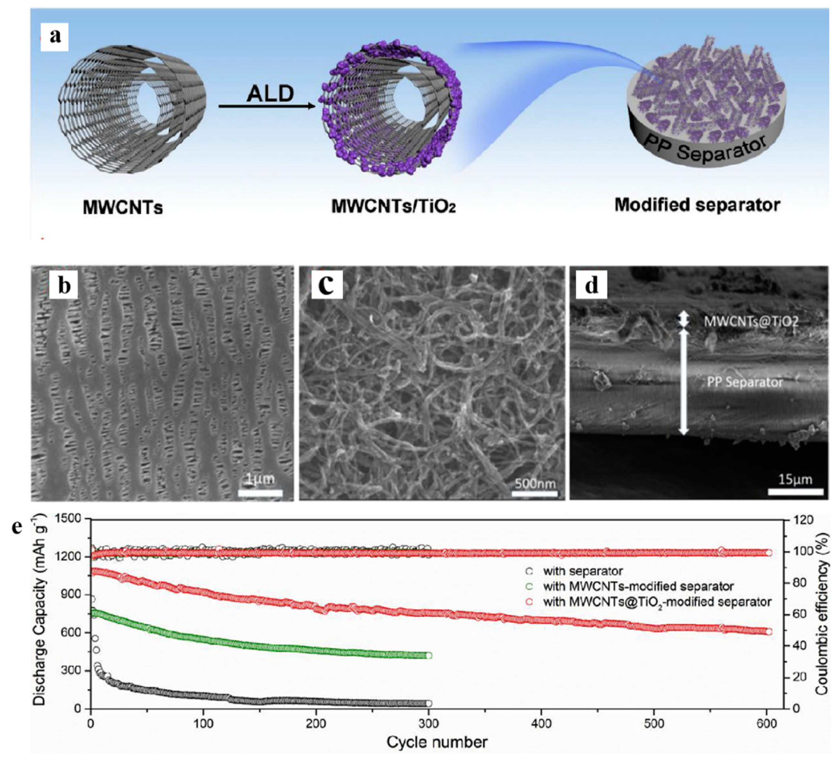 Polymers 15 03955 g015