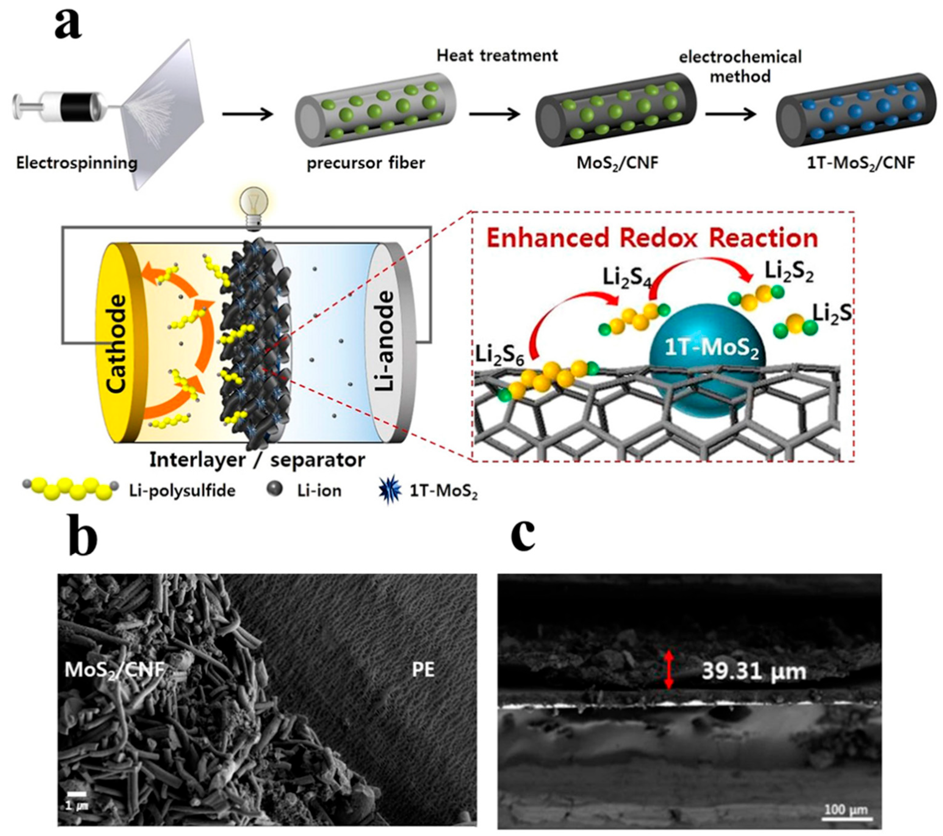 Polymers 15 03955 g016
