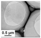 Polymers 15 03955 i012