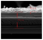 Polymers 15 03955 i014