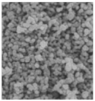 Polymers 15 03955 i019