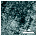 Polymers 15 03955 i020