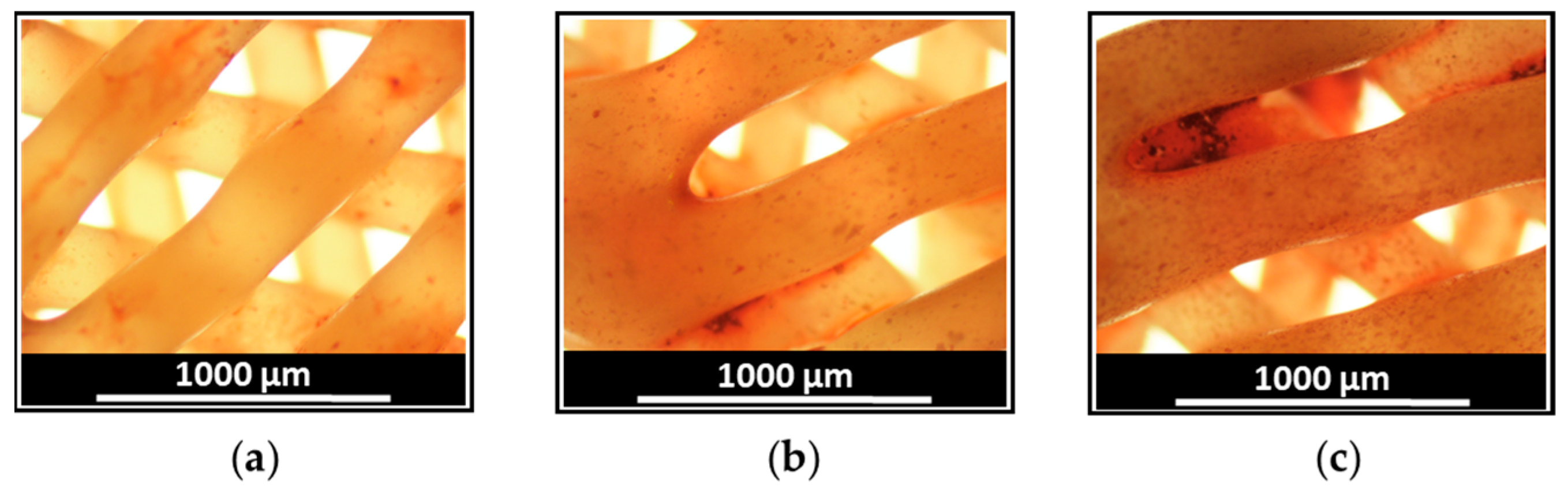 Polymers 15 03957 g007