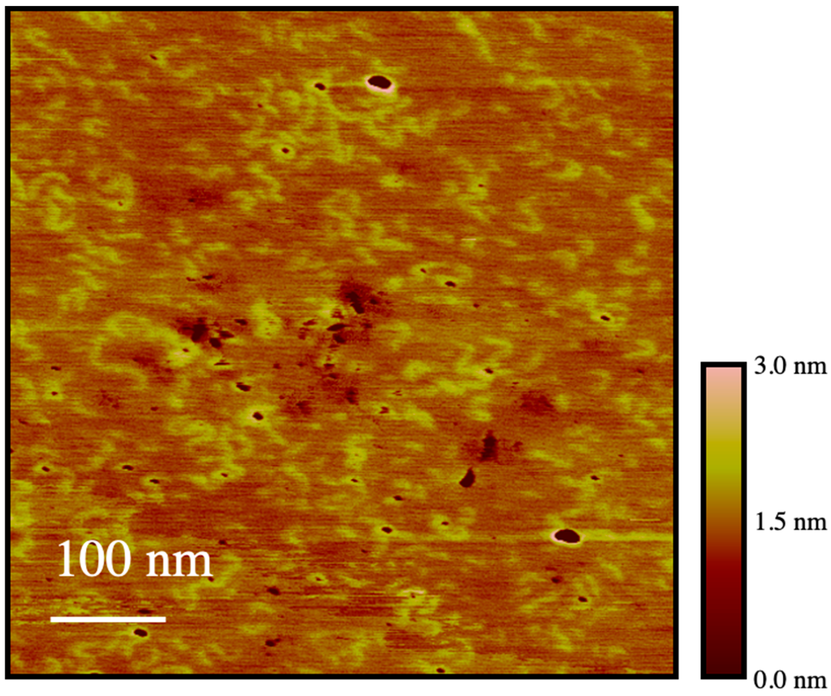 Polymers 15 03958 g009