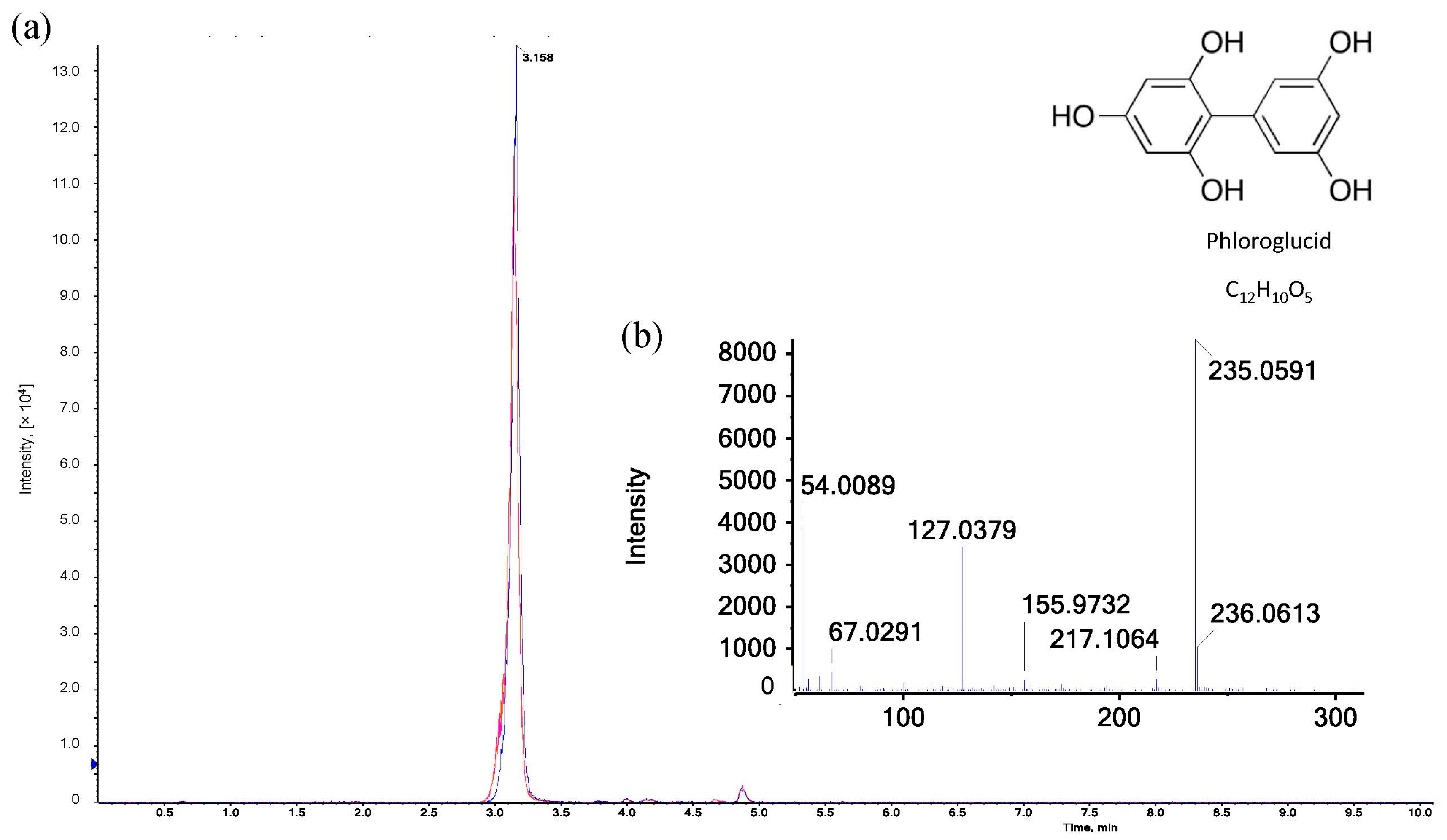 Polymers 15 03959 g005