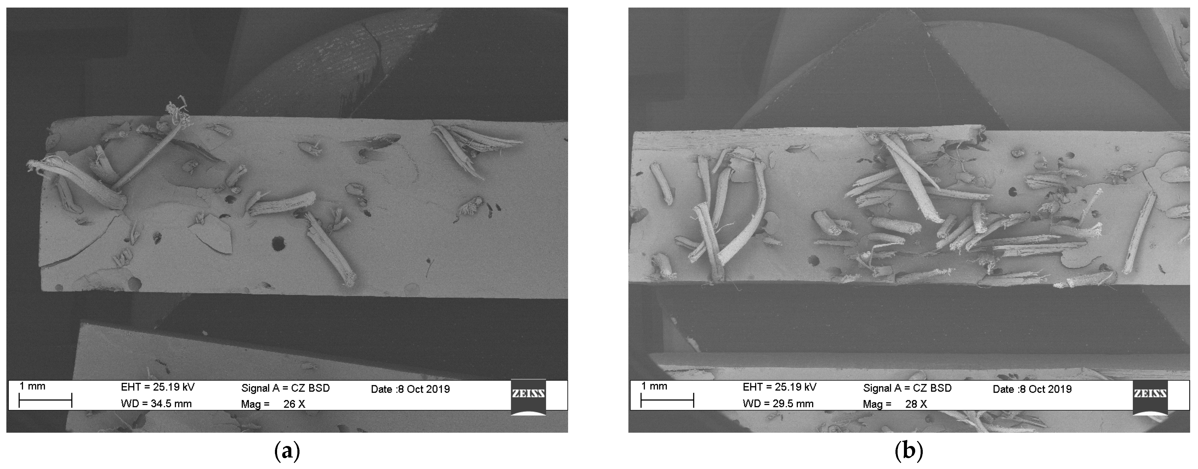 Polymers 15 03963 g004a