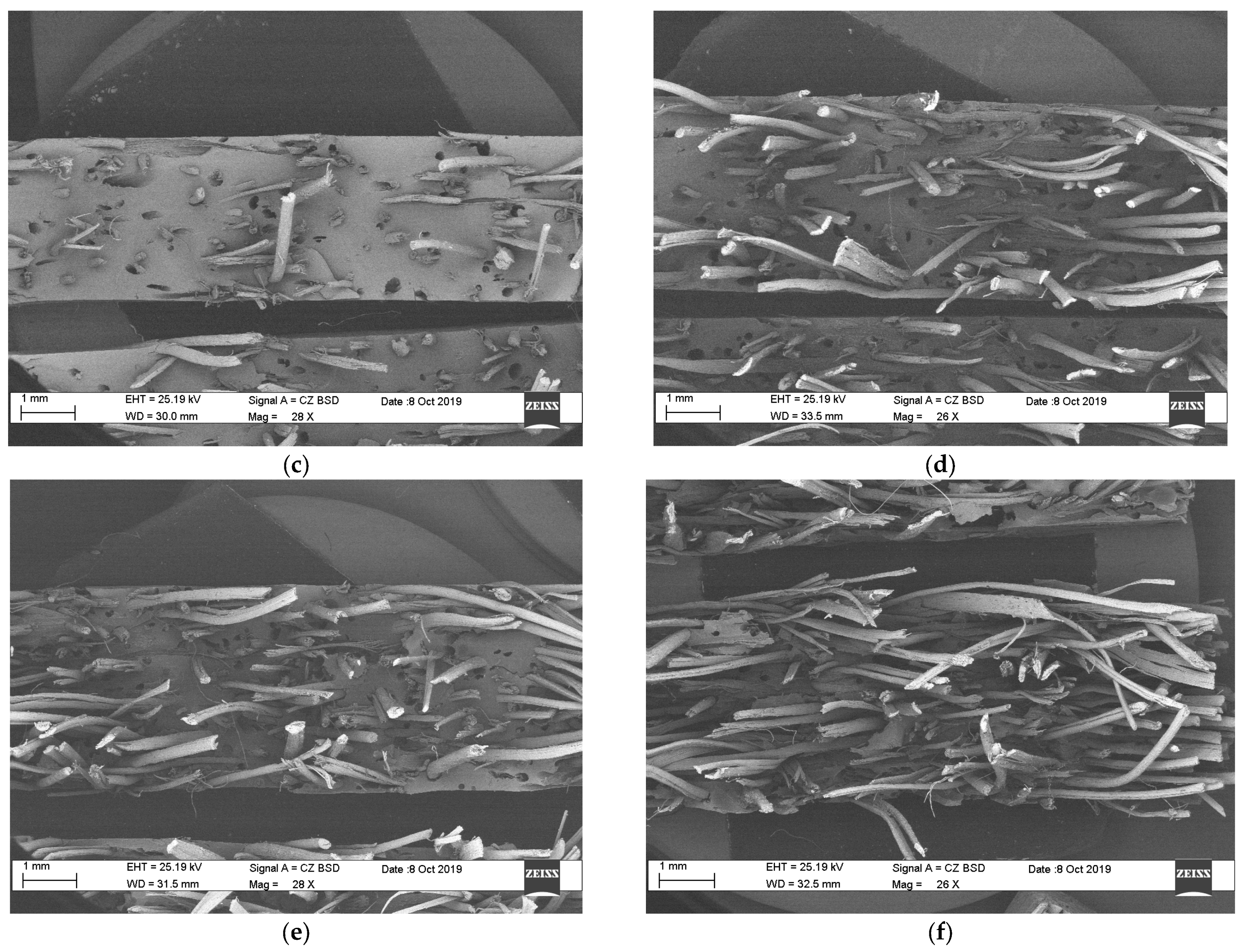 Polymers 15 03963 g004b