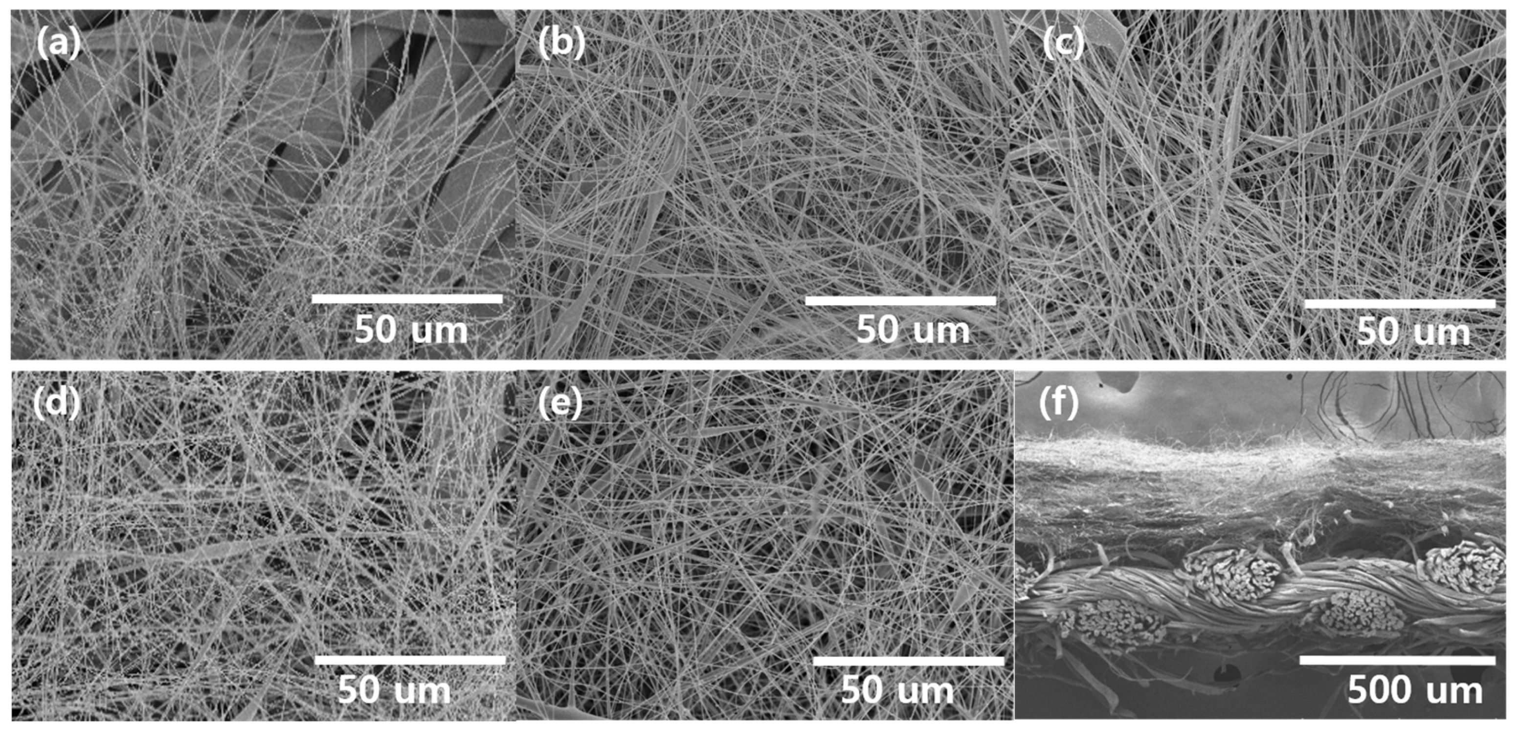 Polymers 15 03965 g003