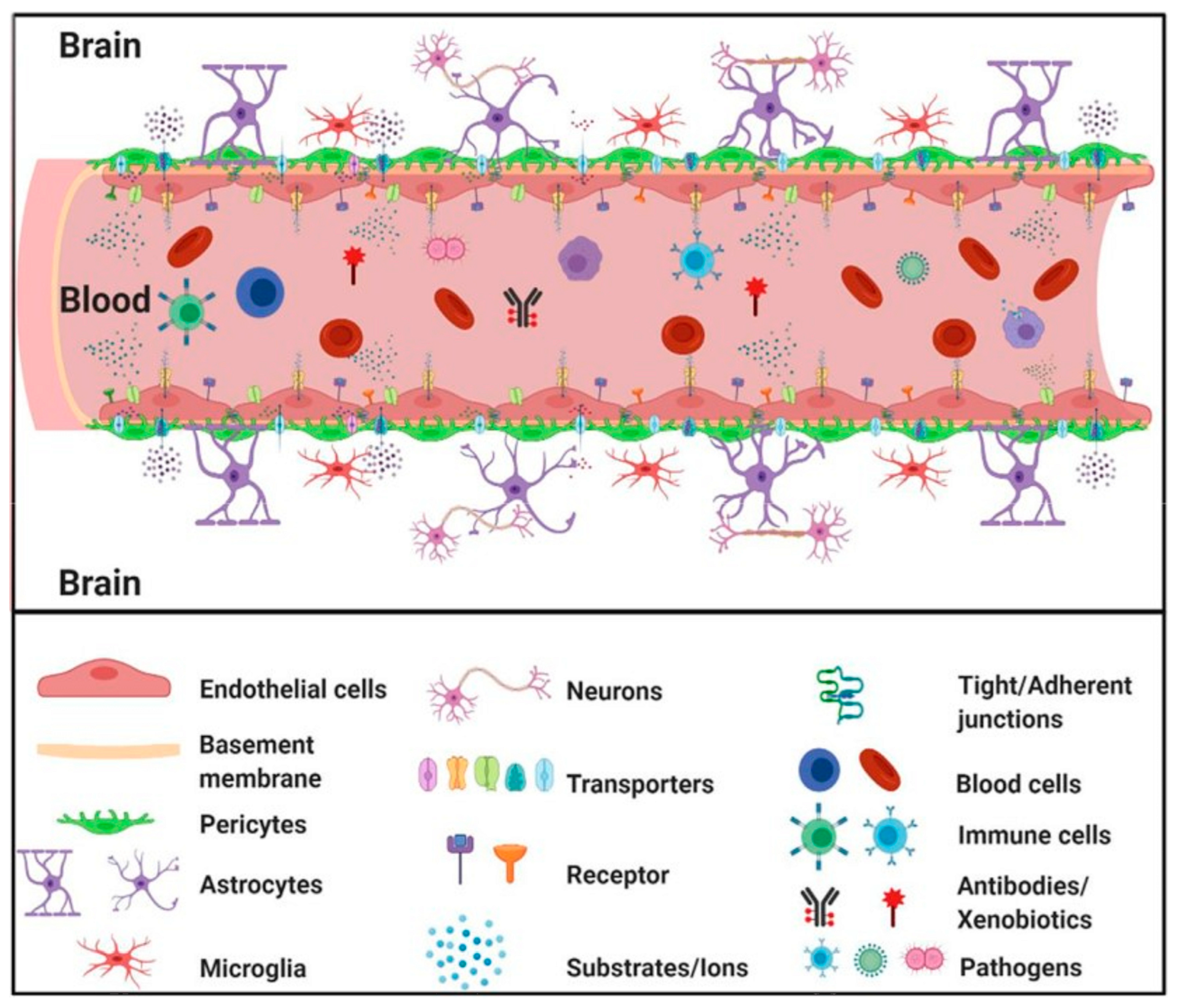 Polymers 15 03969 g001