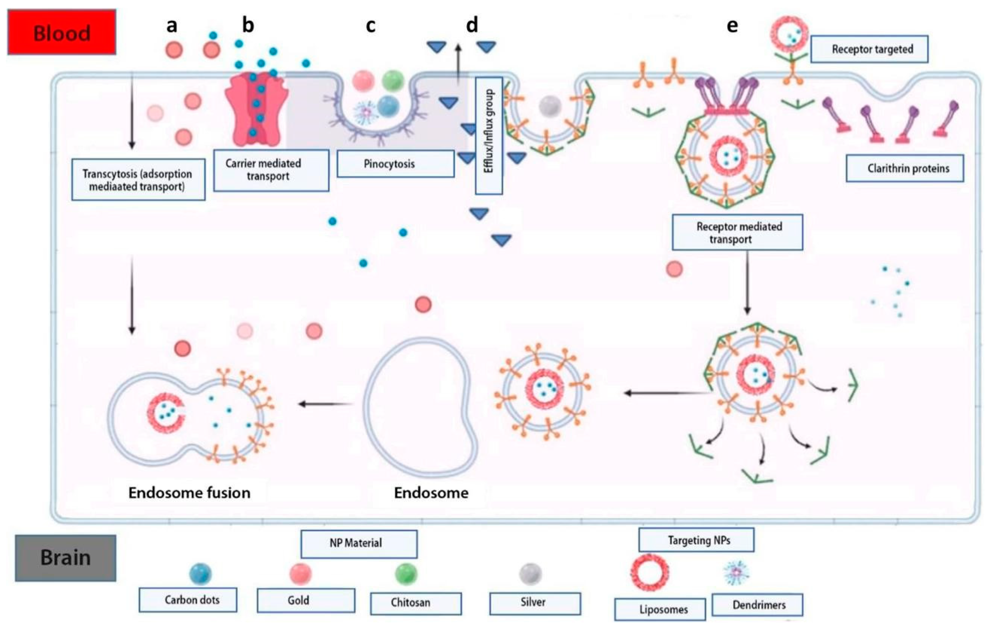 Polymers 15 03969 g002