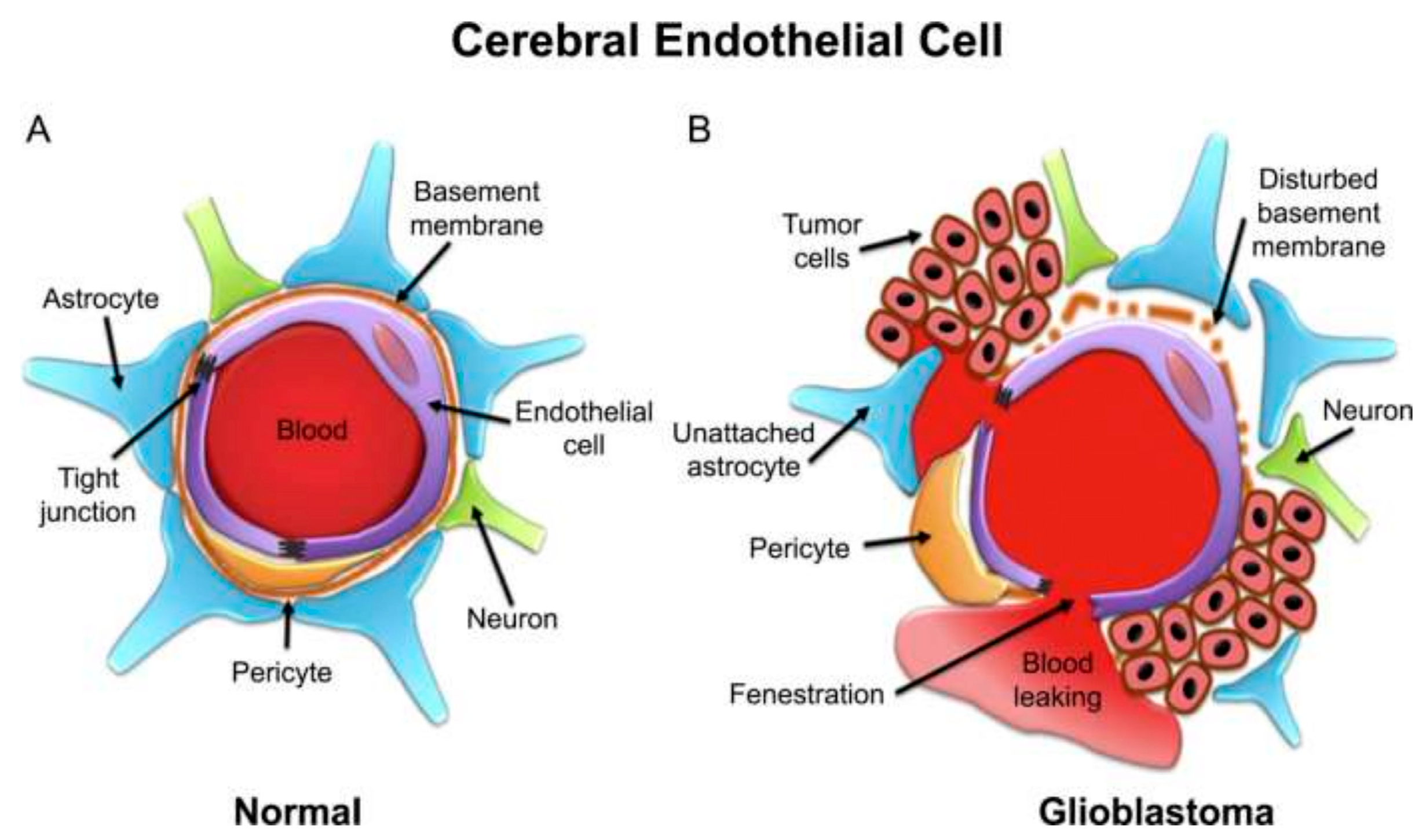Polymers 15 03969 g003