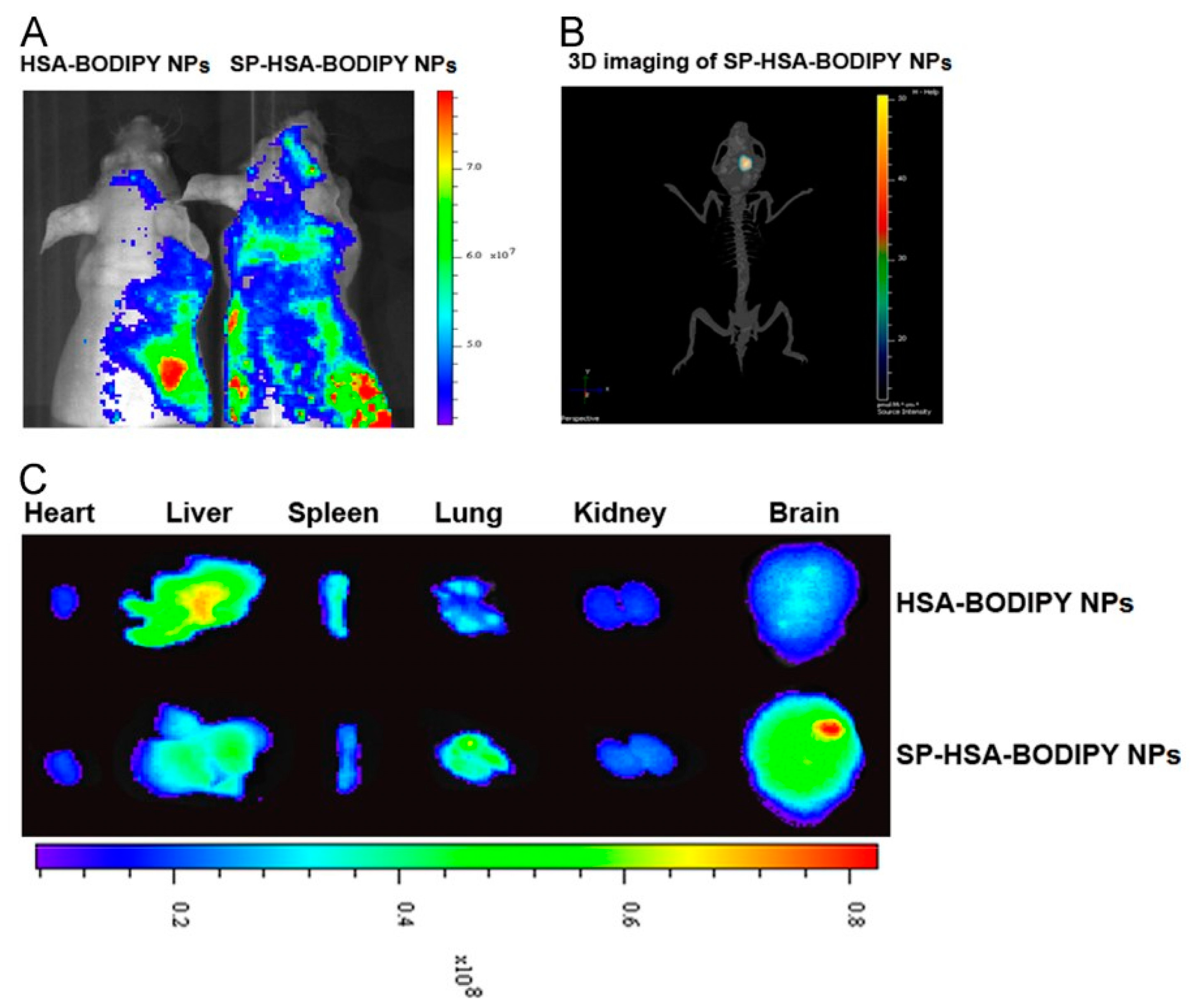 Polymers 15 03969 g008