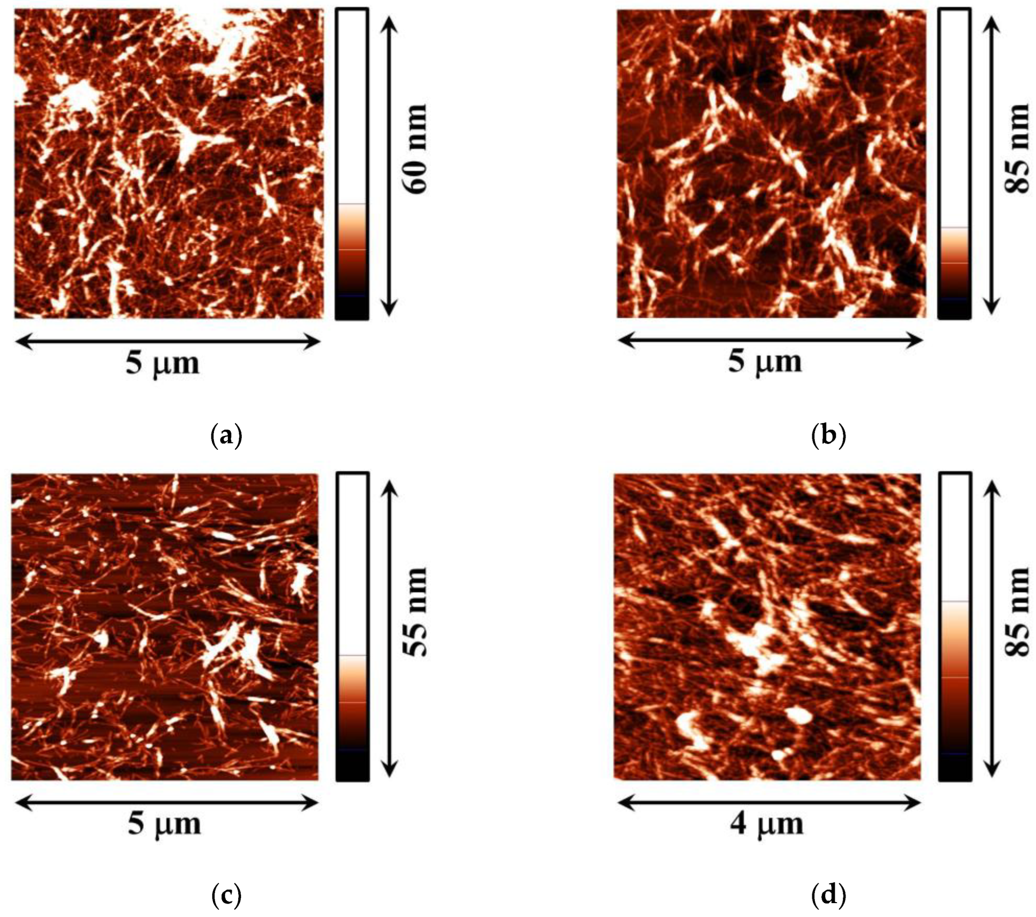 Polymers 15 03970 g006
