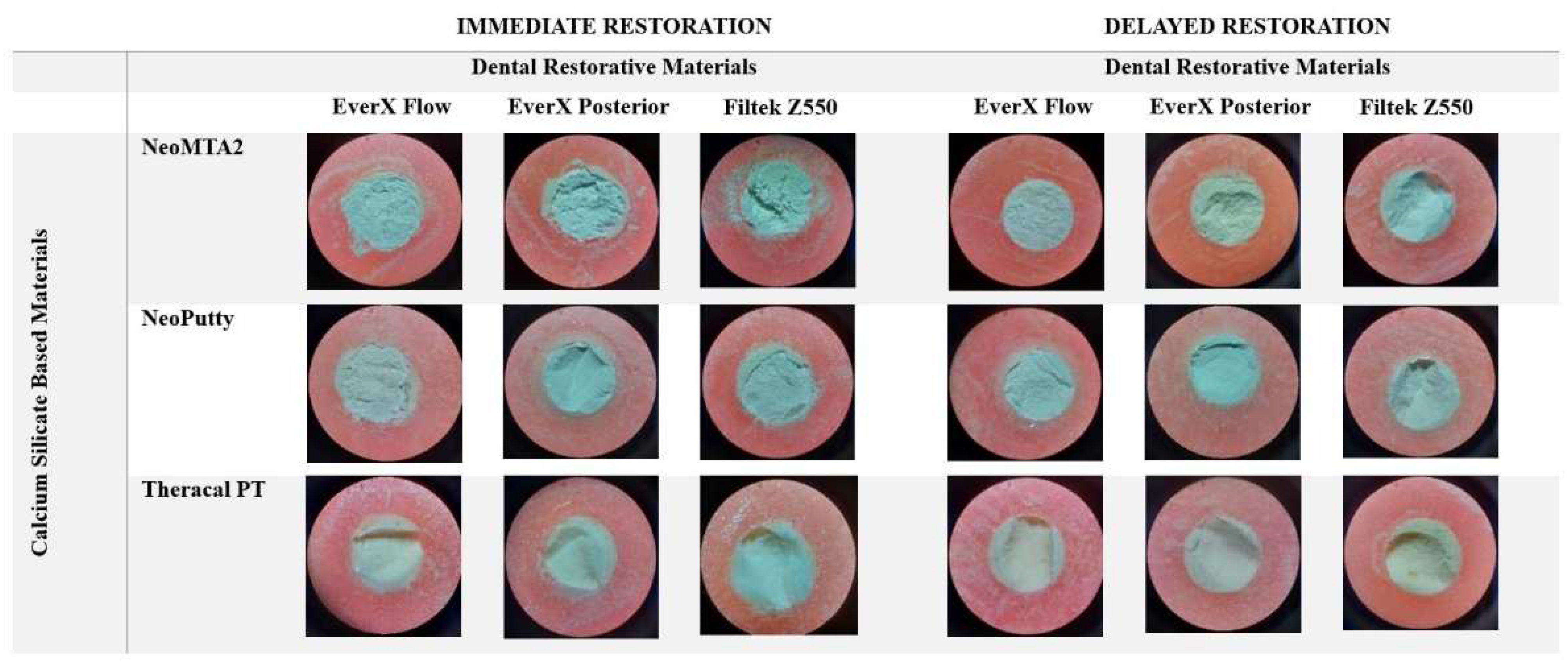 Polymers 15 03971 g001
