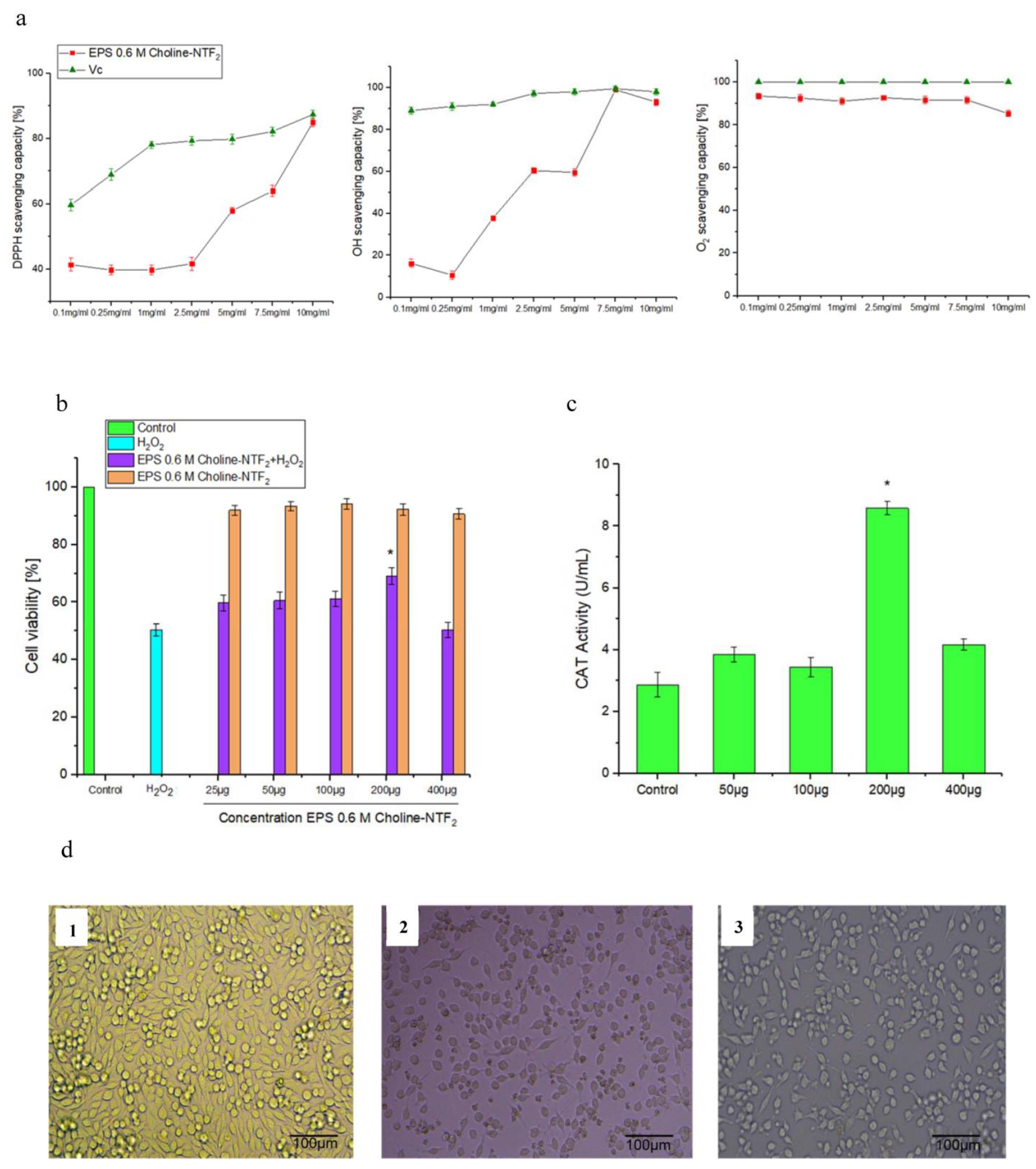 Polymers 15 03974 g008