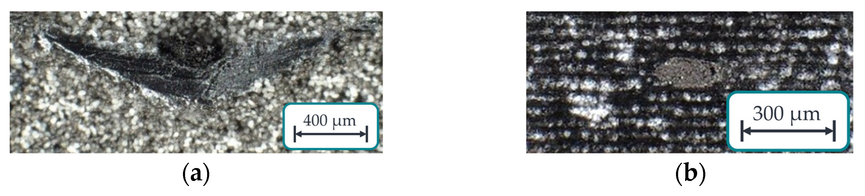 Polymers 15 03975 g009