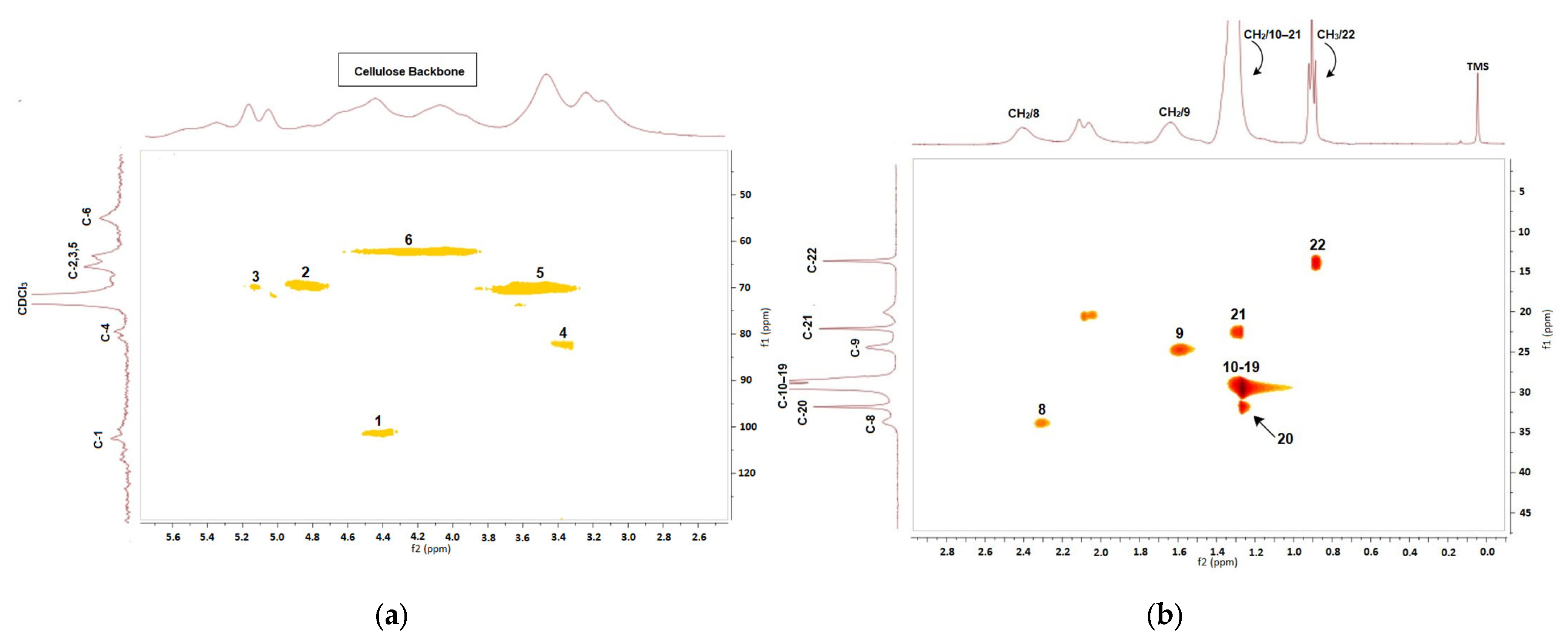 Polymers 15 03979 g002