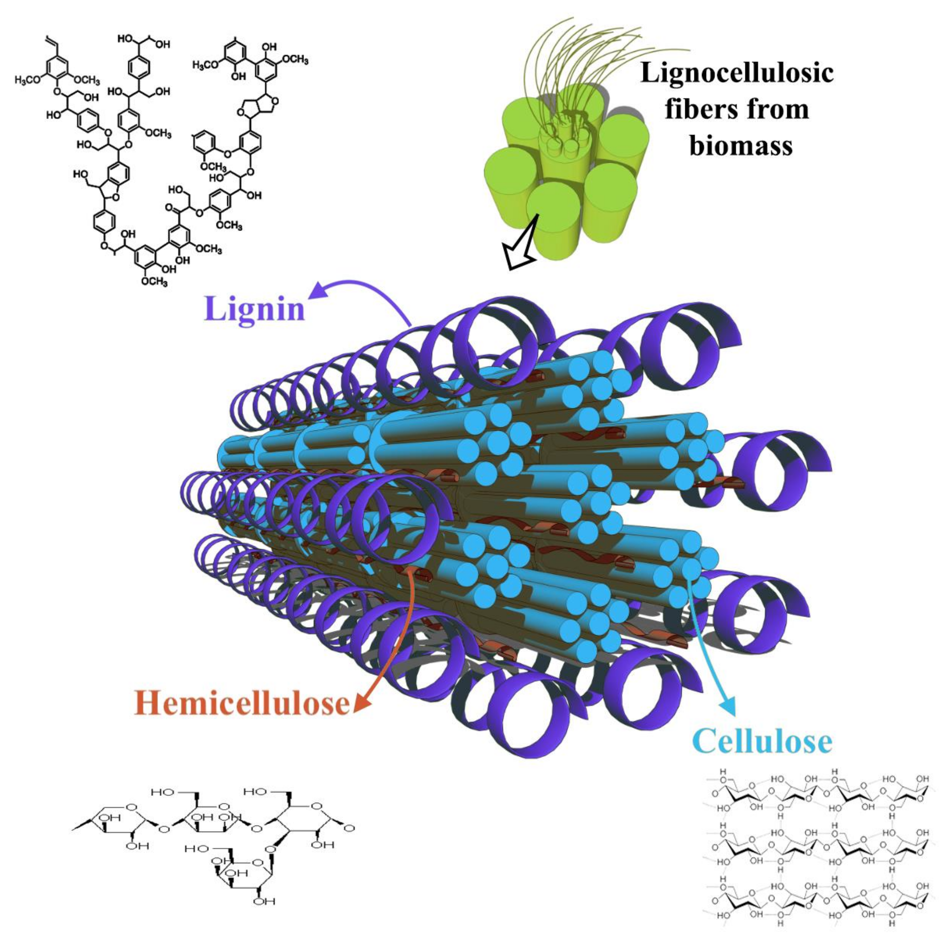Polymers 15 03981 g001