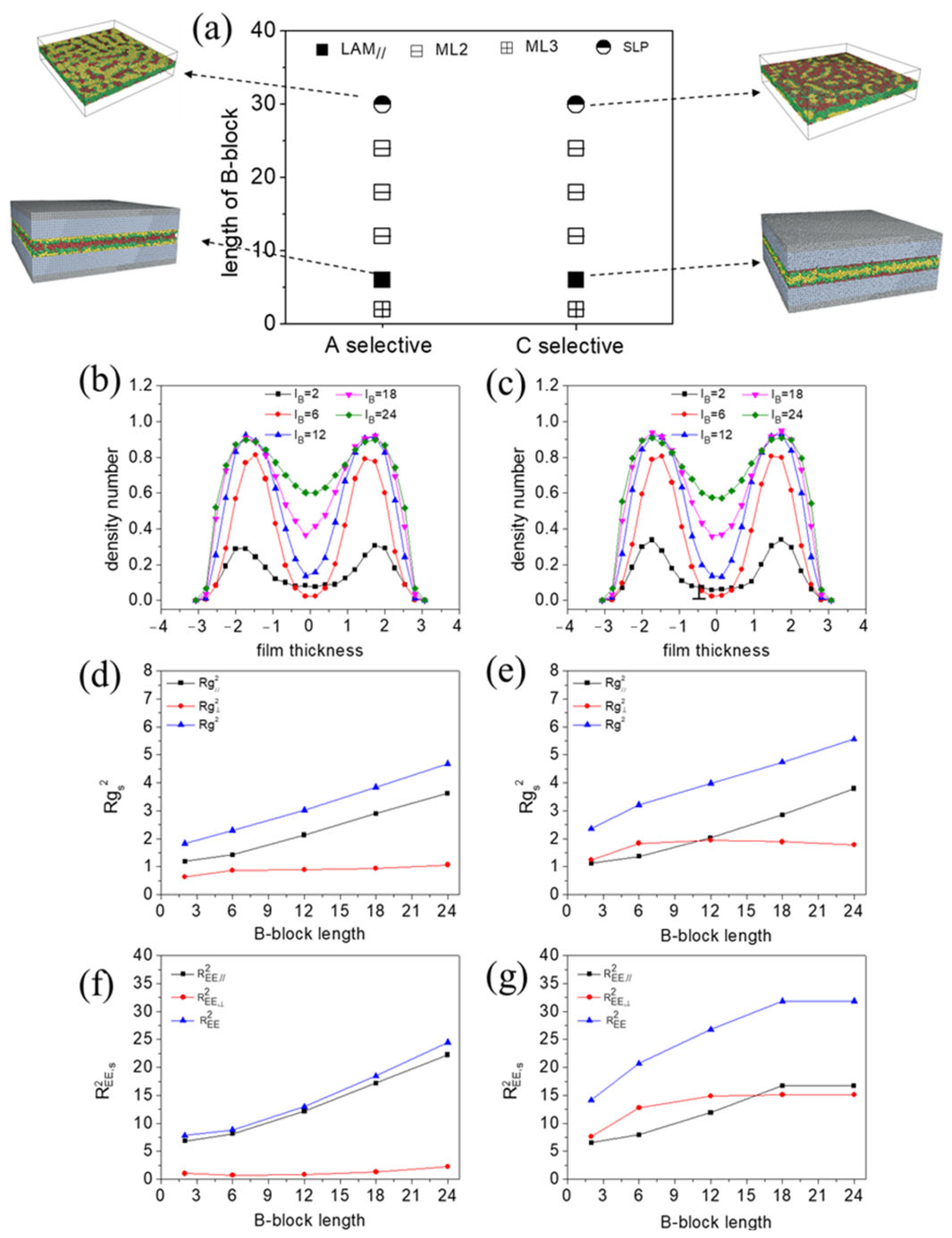 Polymers 15 03982 g010