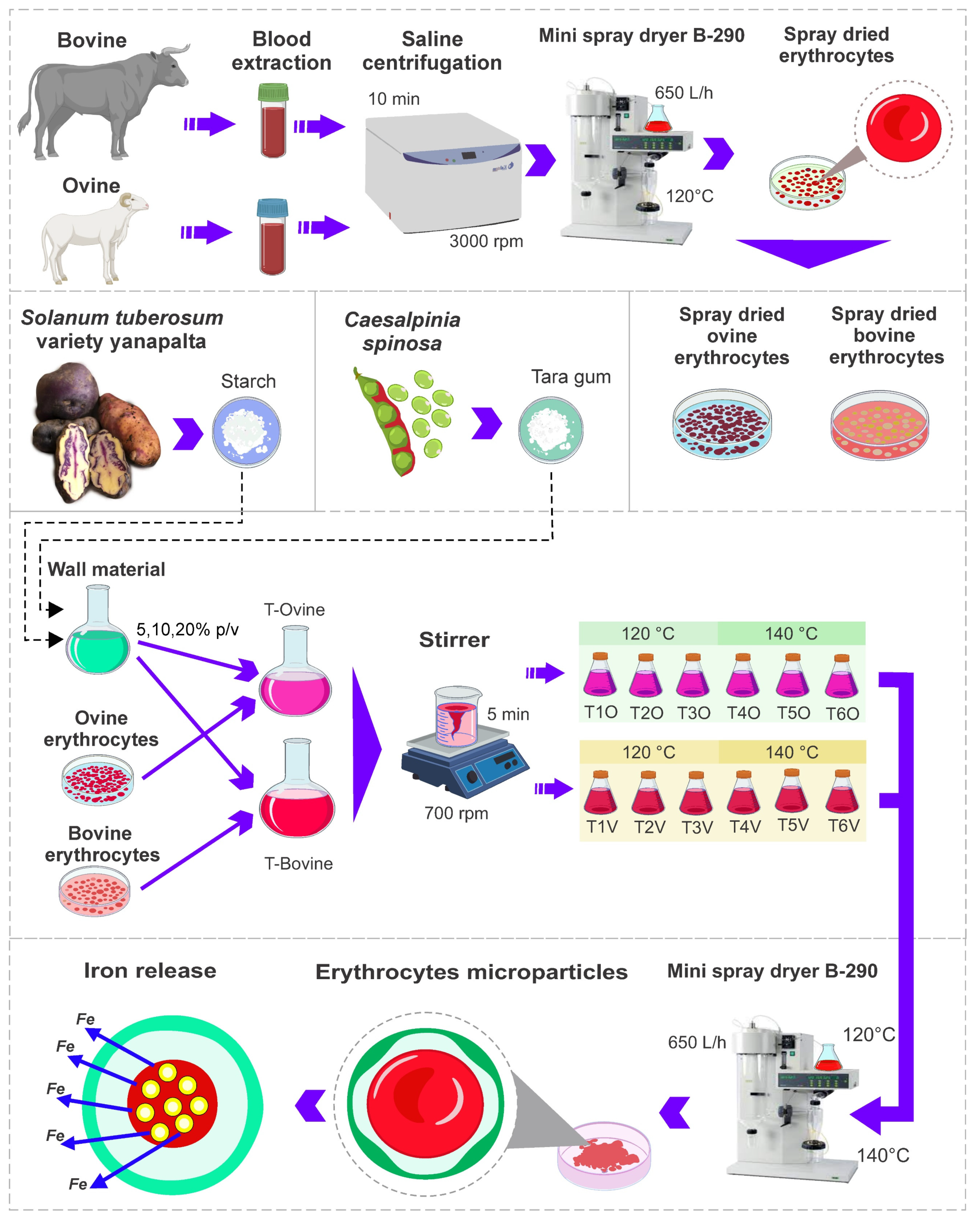 Polymers 15 03985 g001