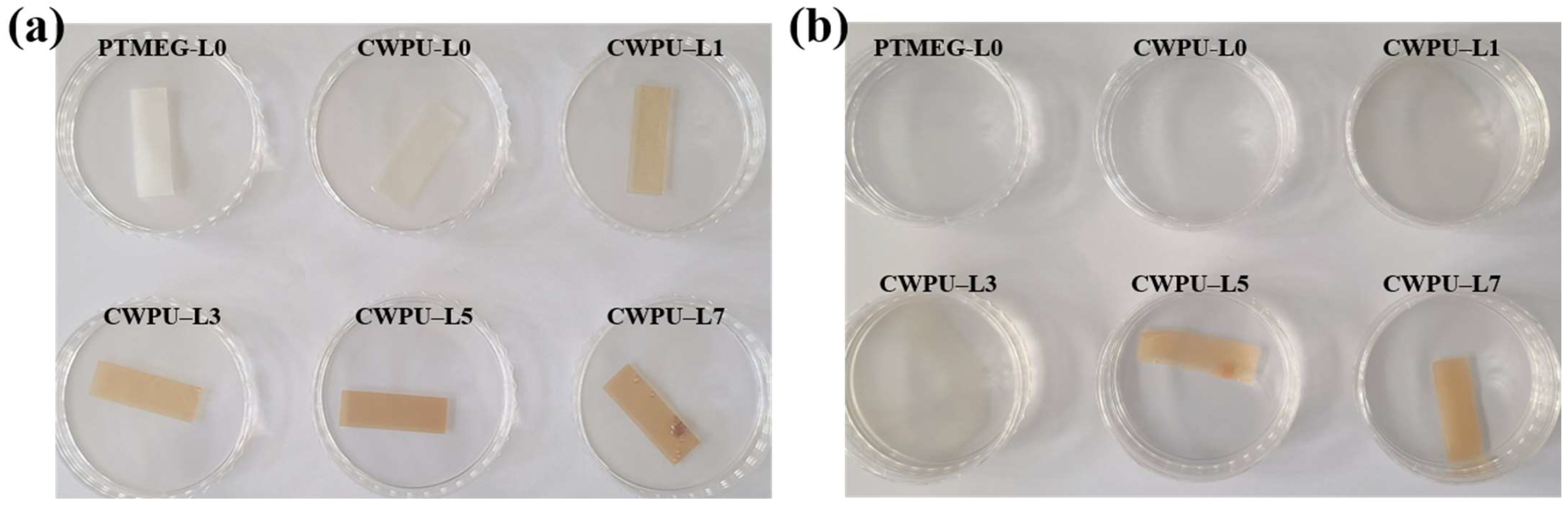 Polymers 15 03987 g007