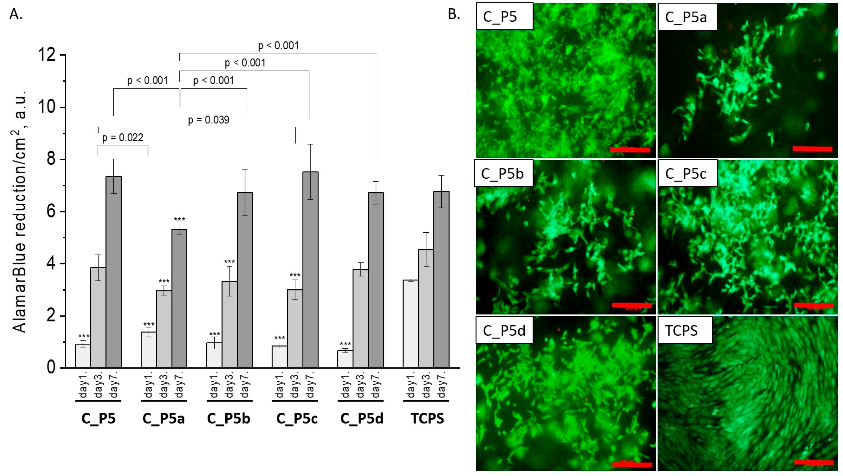 Polymers 15 03994 g007