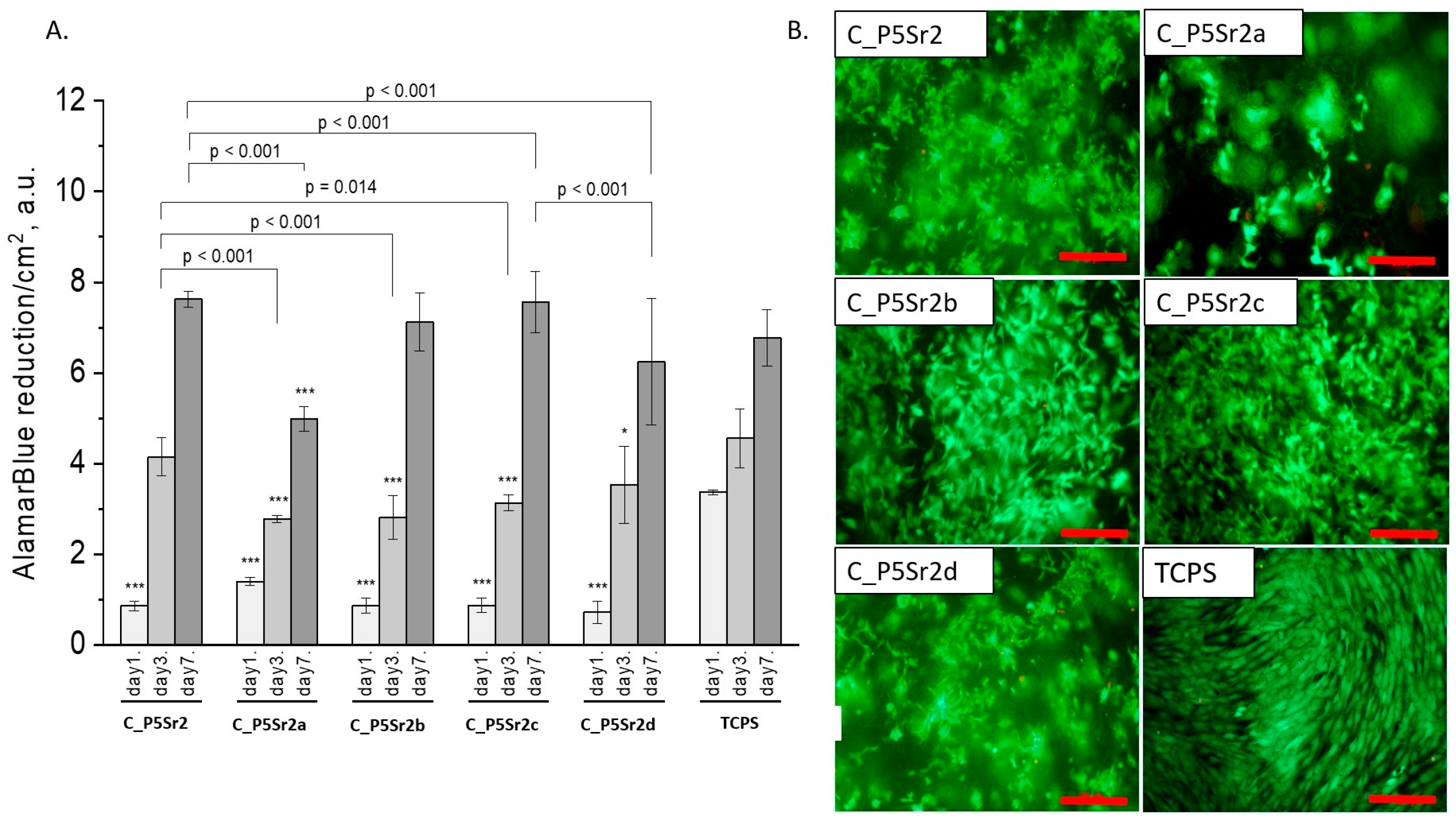Polymers 15 03994 g009